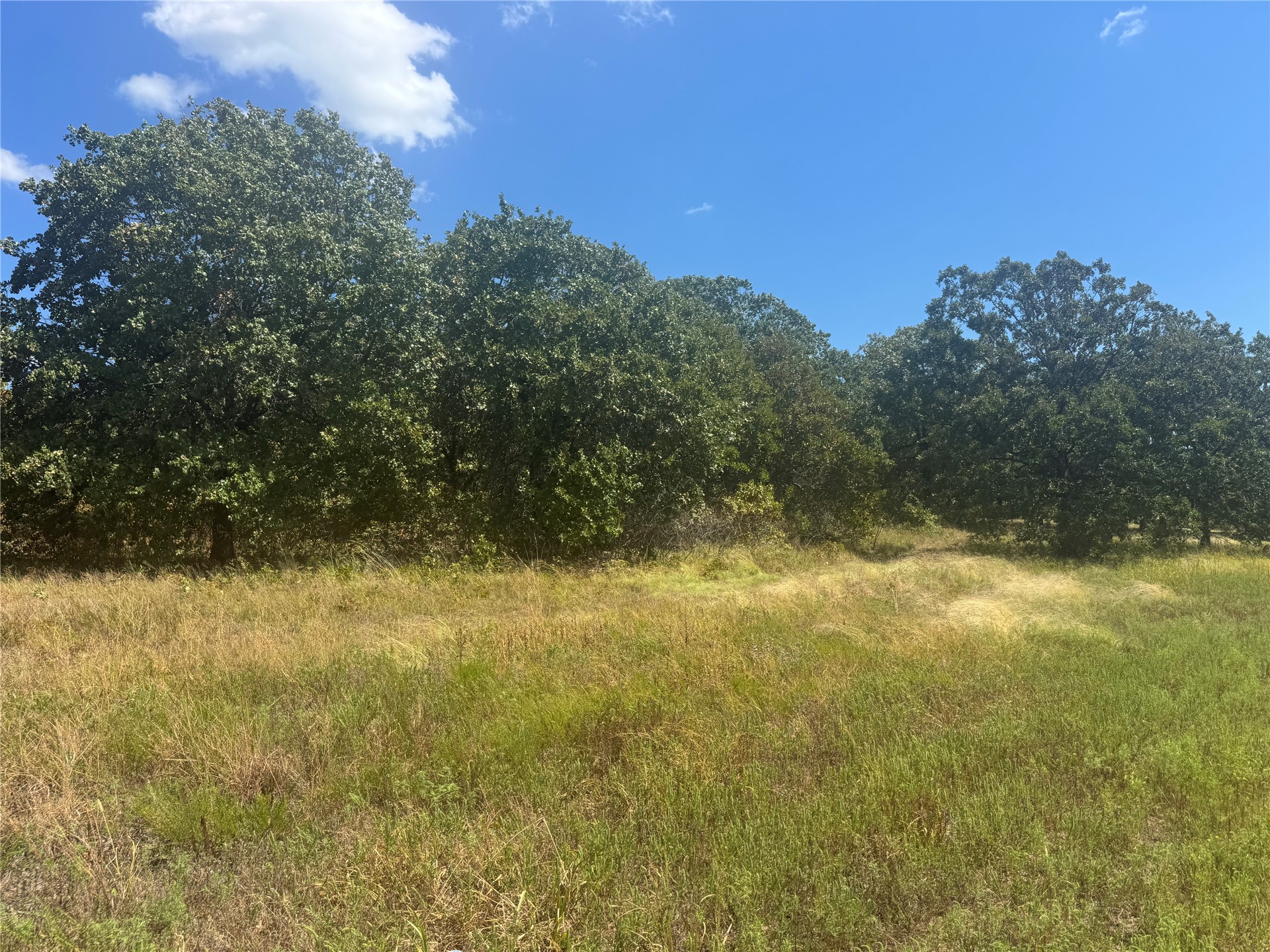 9213 W 20 Highway Property Photo 14