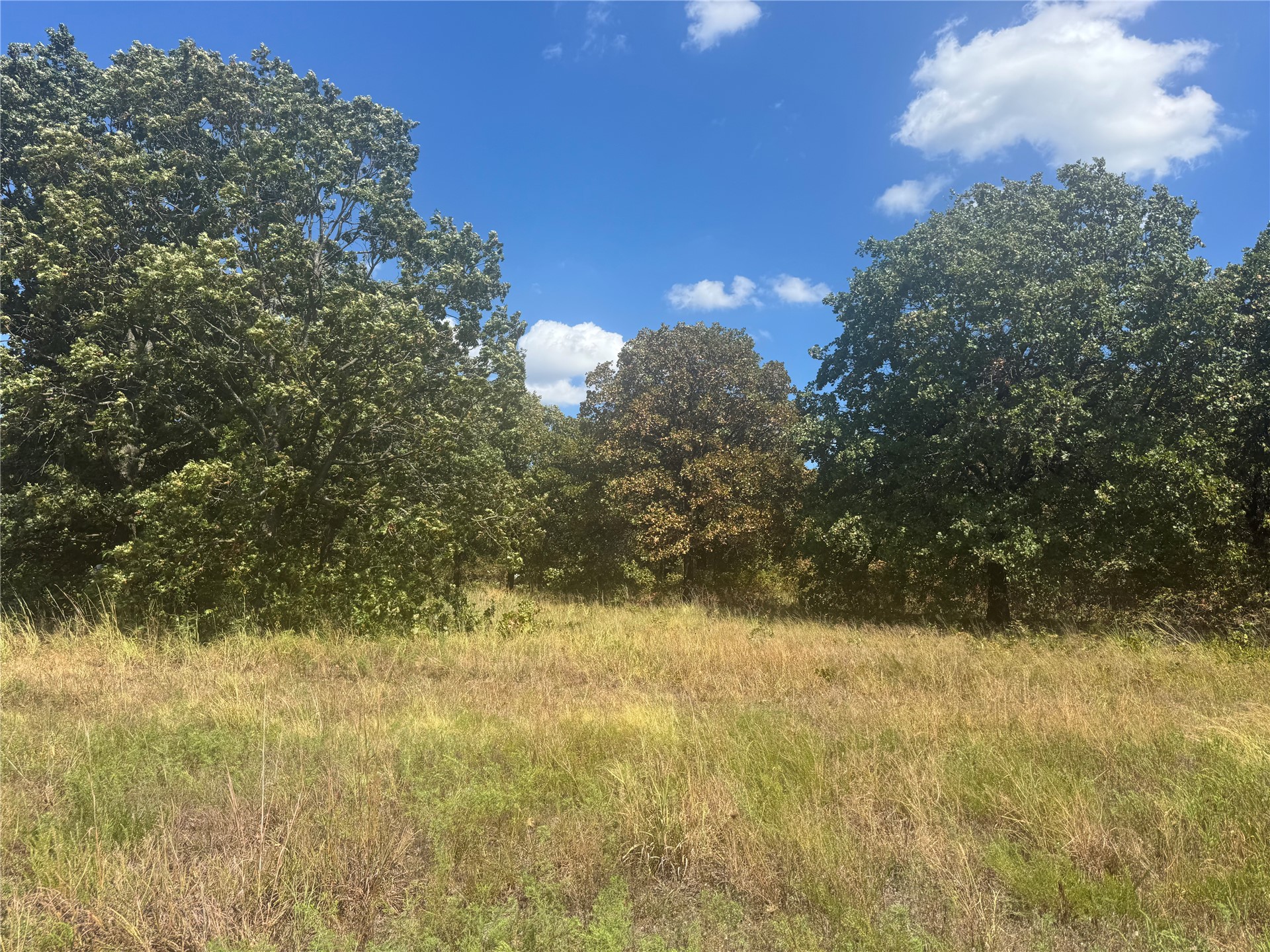 9213 W 20 Highway Property Photo 15