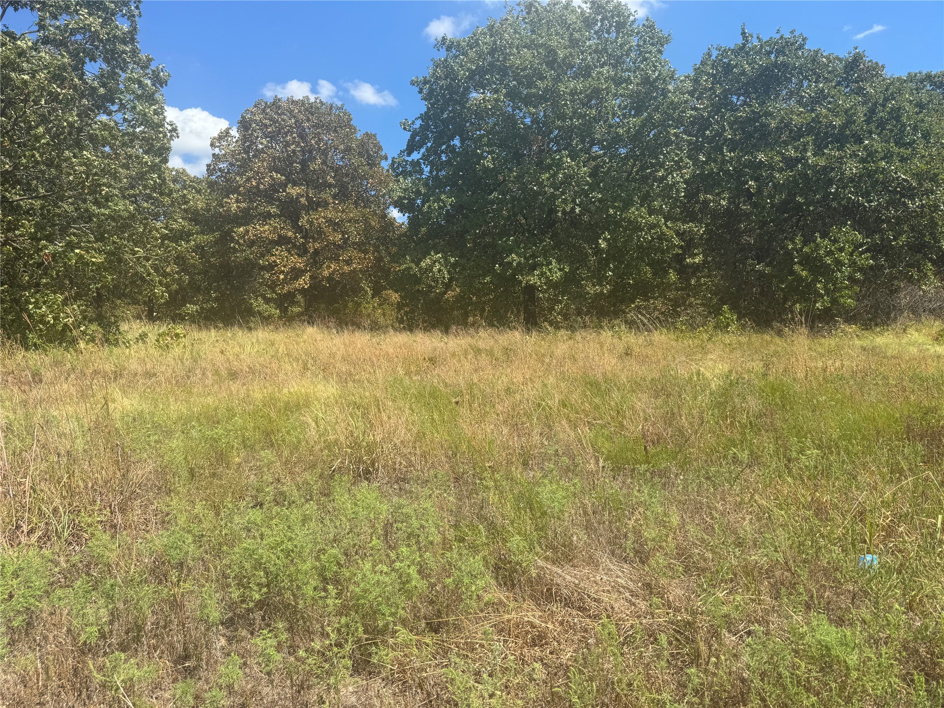 9213 W 20 Highway Property Photo 16