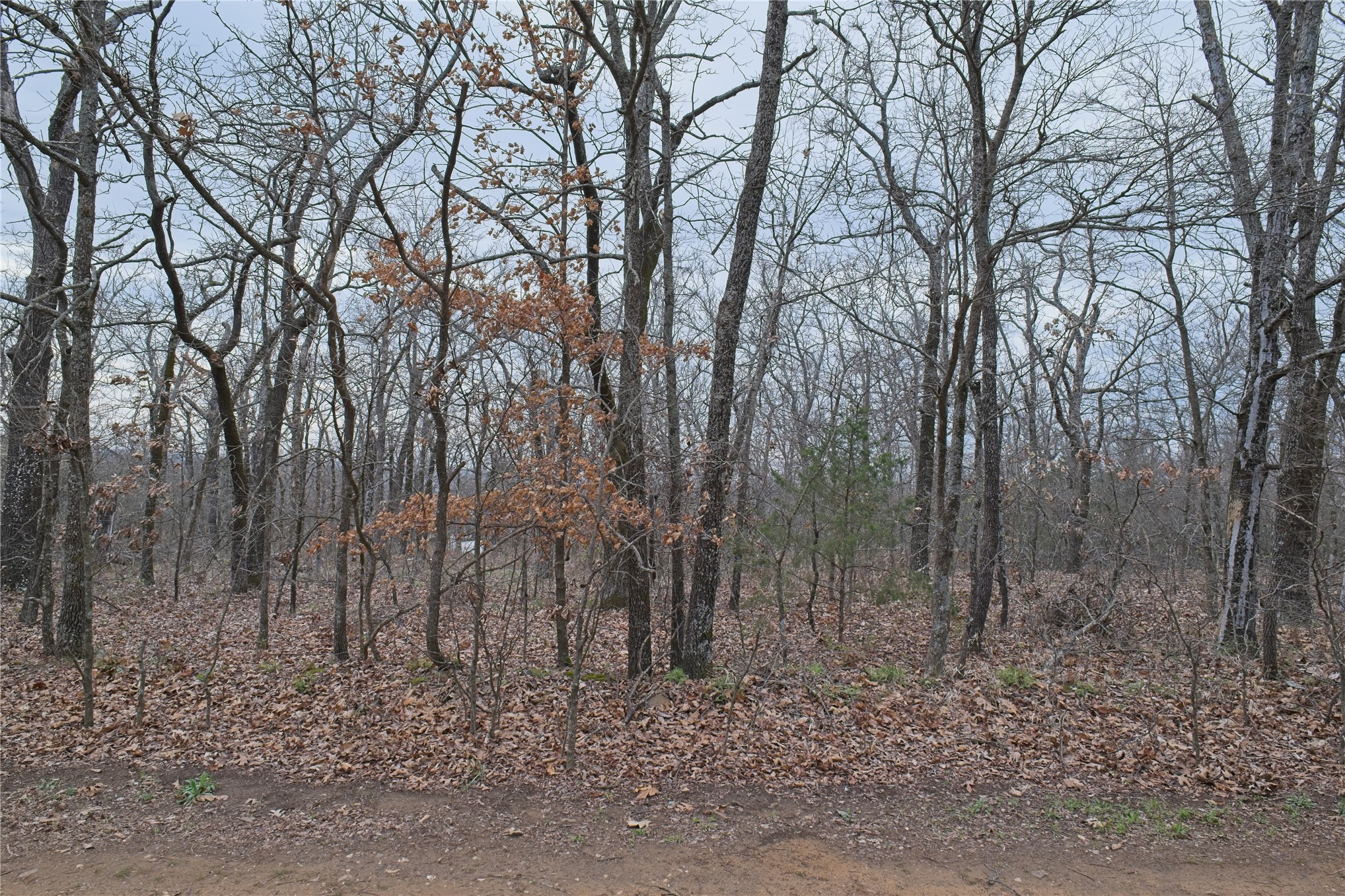 S 4547 Drive Property Photo 1
