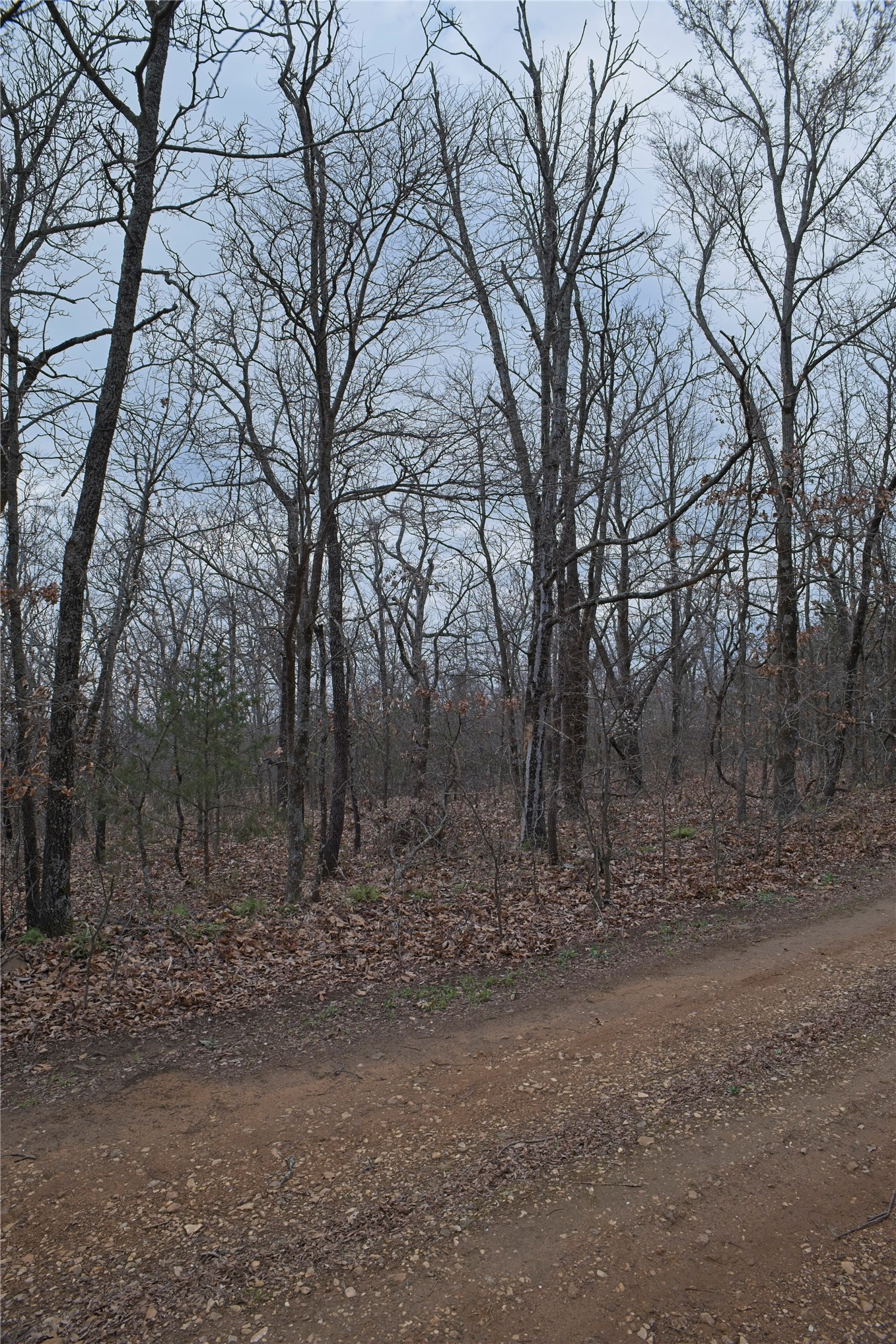 S 4547 Drive Property Photo 3