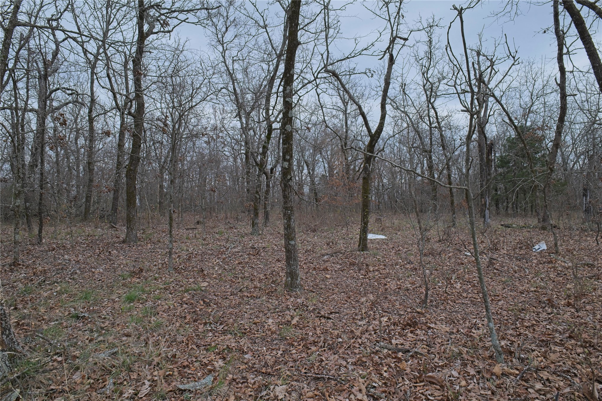 S 4547 Drive Property Photo 5