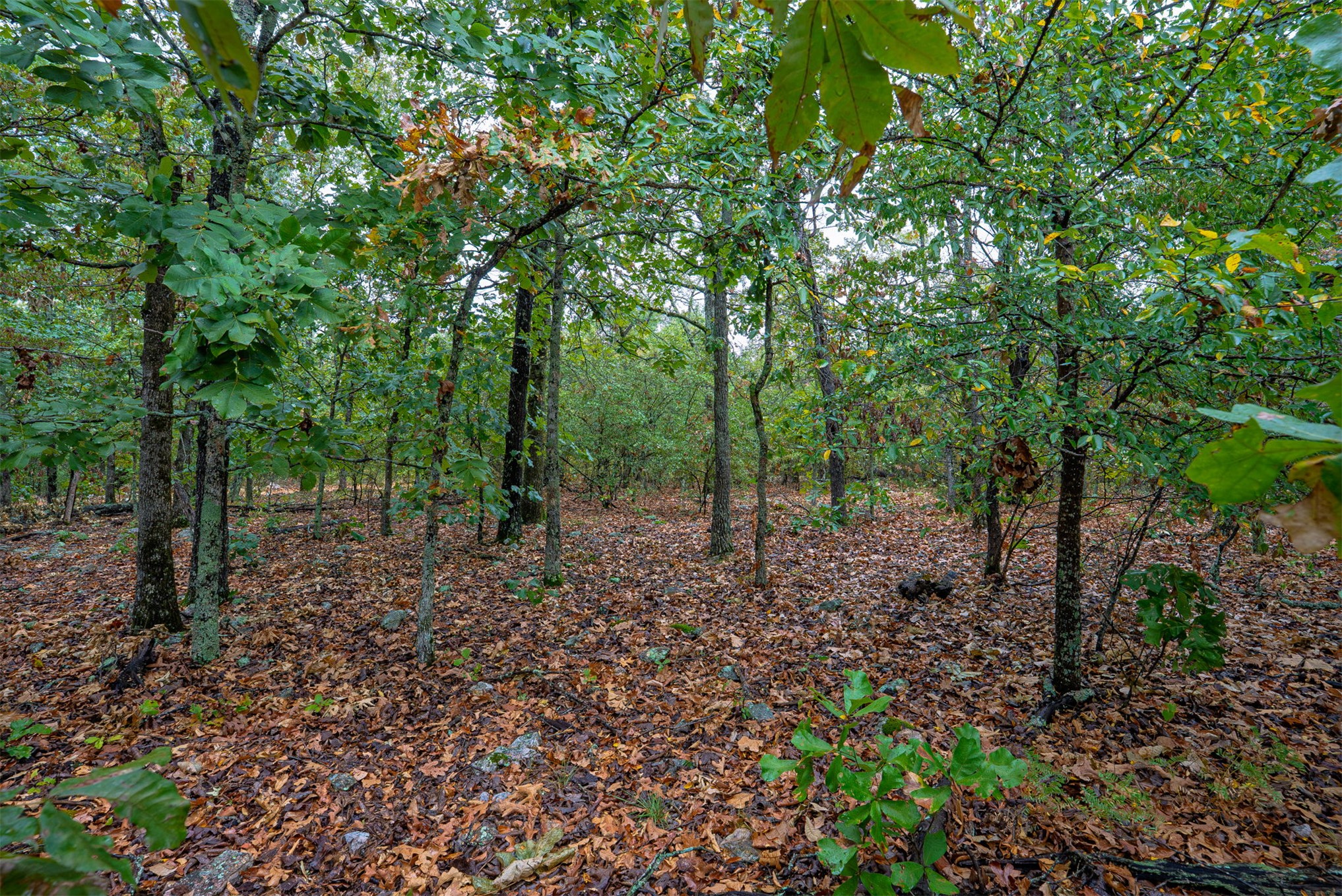 10 E 804 Road Property Photo 12