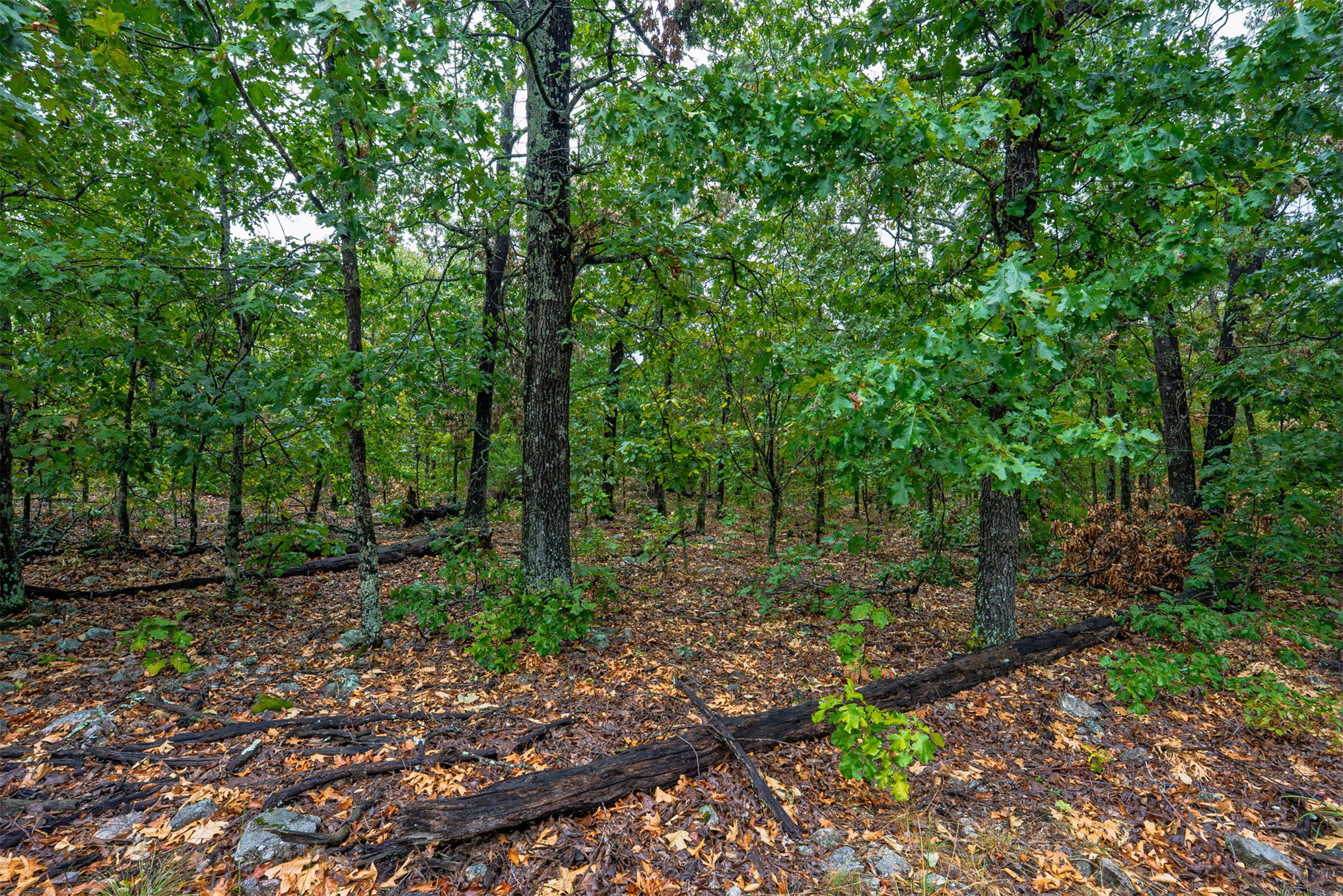10 E 804 Road Property Photo 13