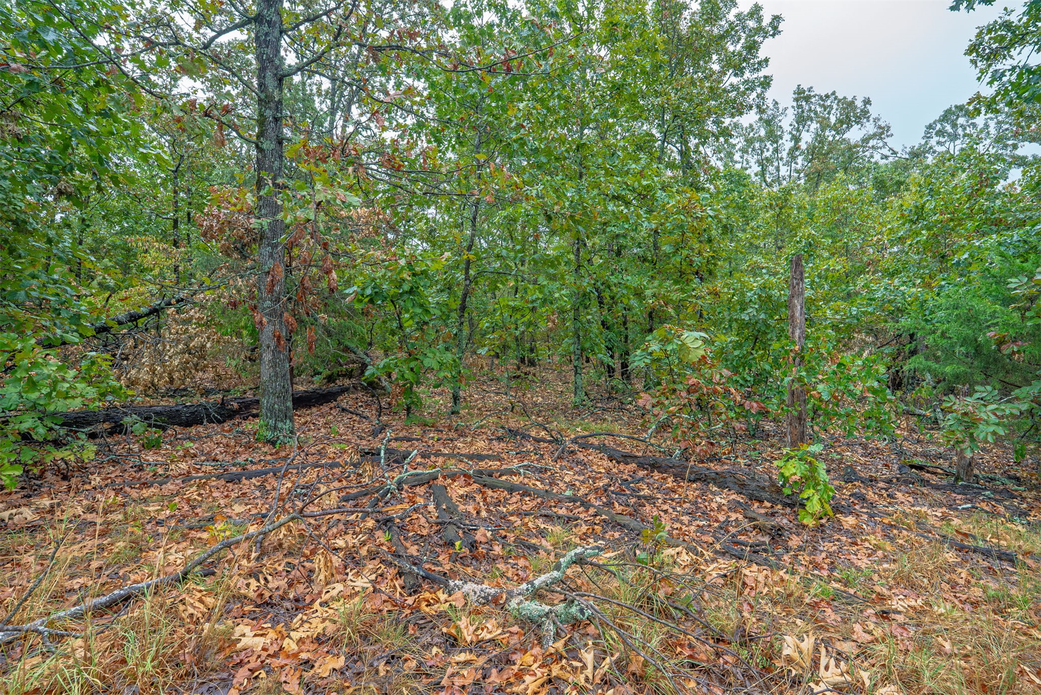 10 E 804 Road Property Photo 14