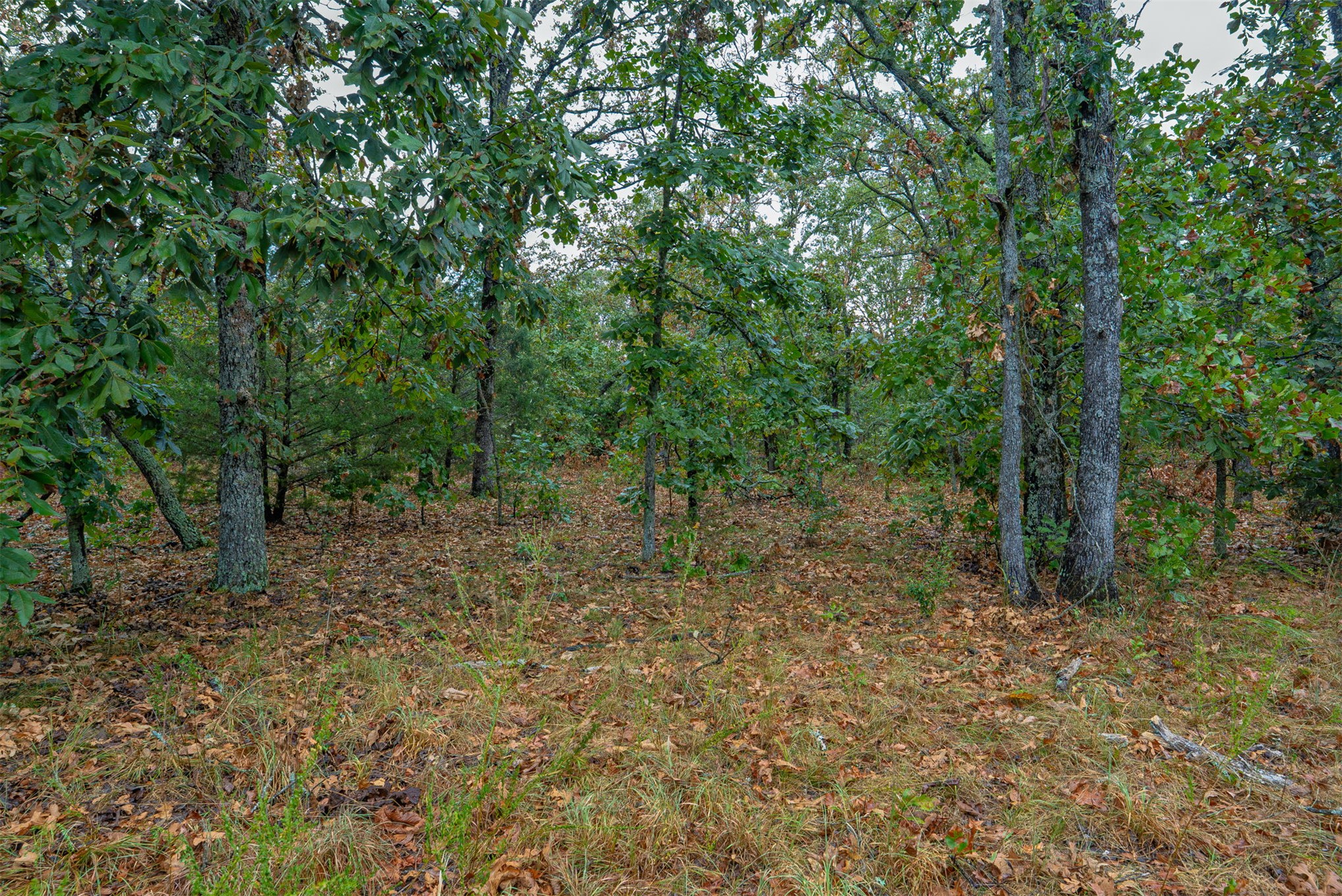 10 E 804 Road Property Photo 16