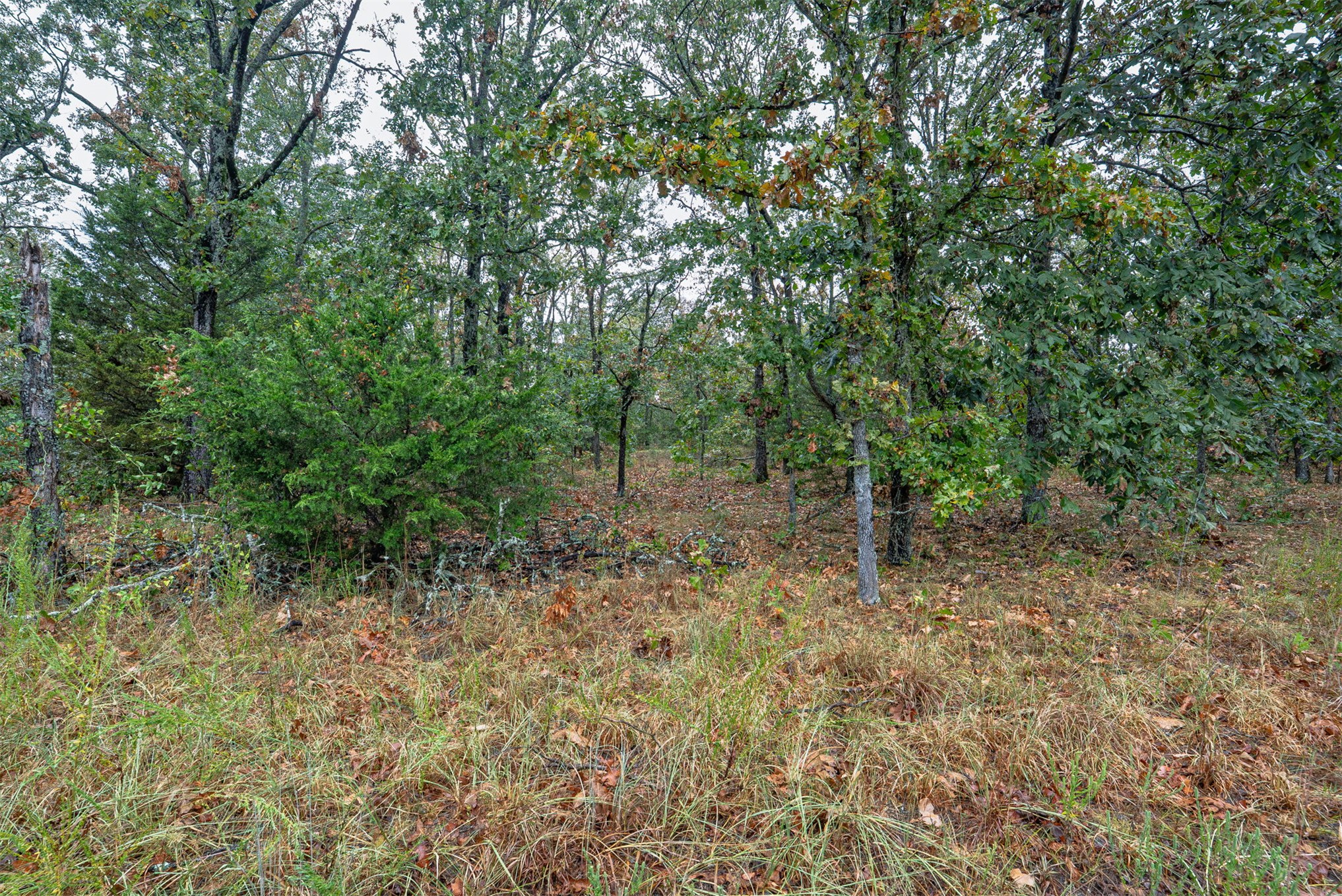 10 E 804 Road Property Photo 17