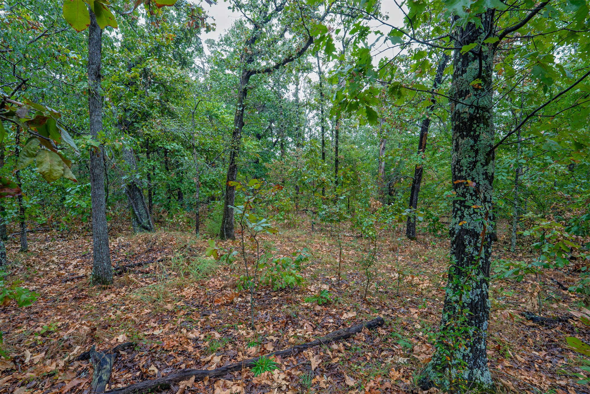 10 E 804 Road Property Photo 19