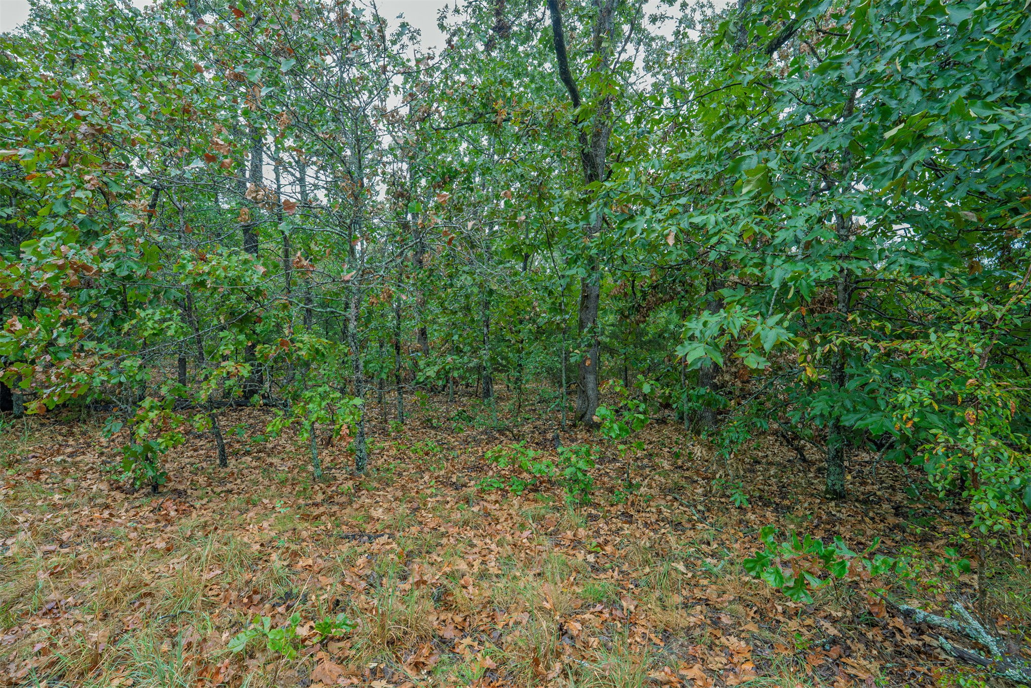 10 E 804 Road Property Photo 20