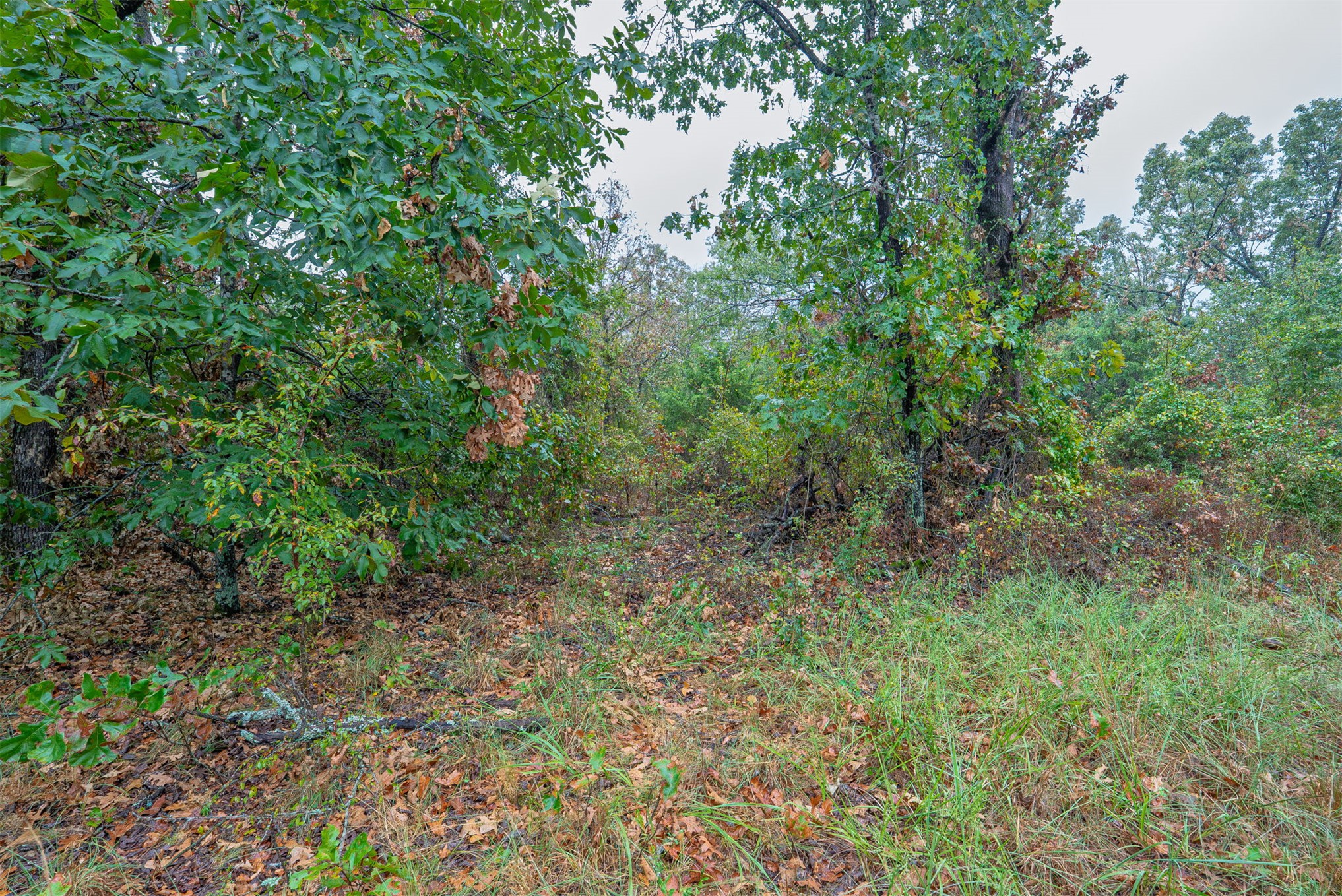 10 E 804 Road Property Photo 22