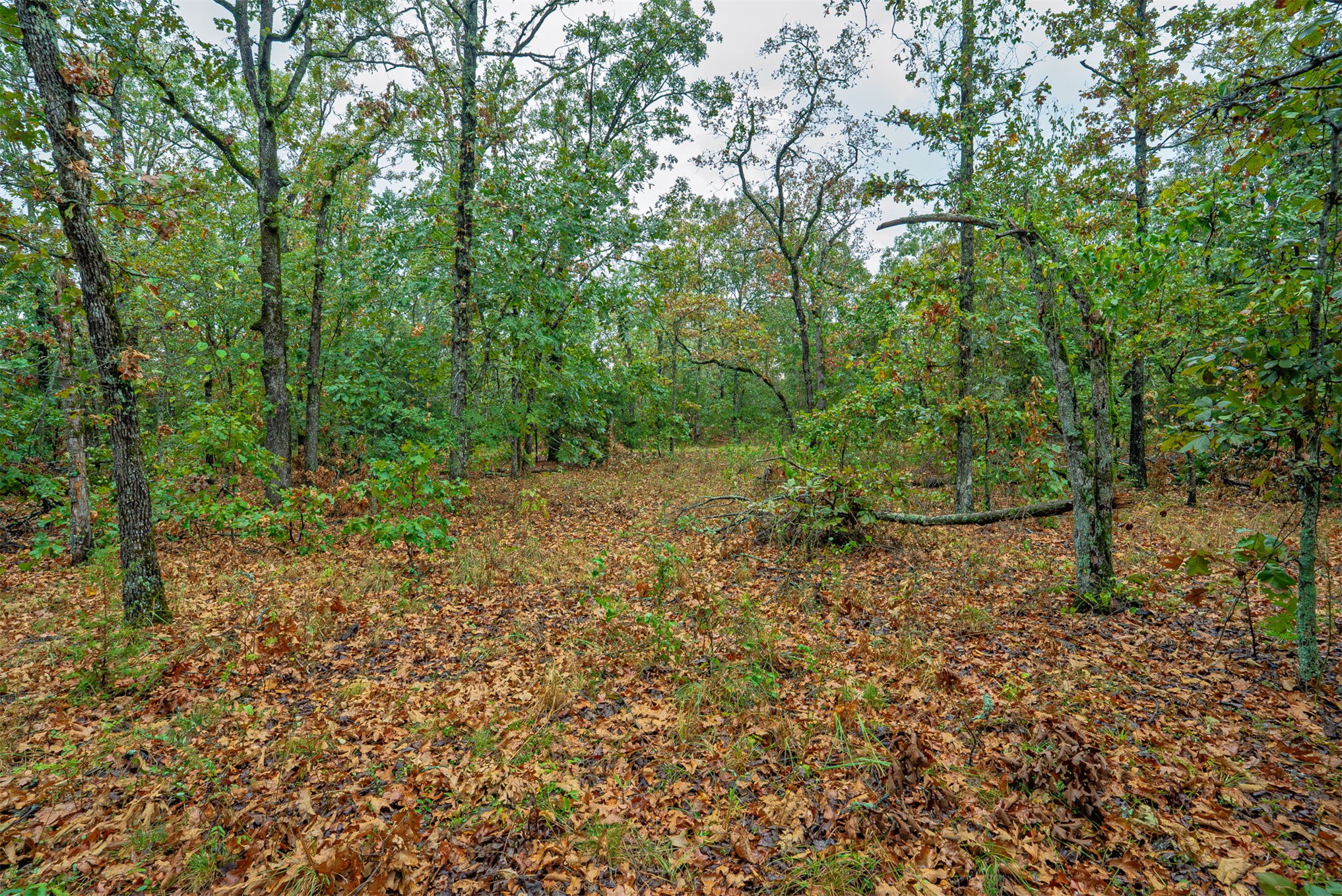 10 E 804 Road Property Photo 24