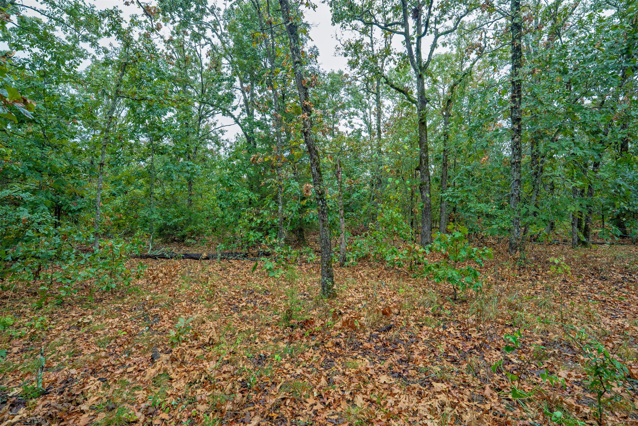 10 E 804 Road Property Photo 25