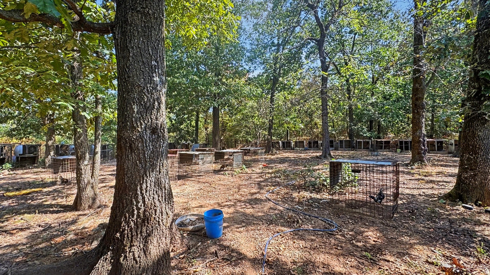 426197 E 743 Road Property Photo 9