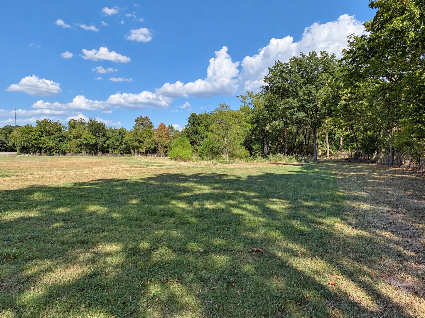 4101 Highway 51 Property Photo 12