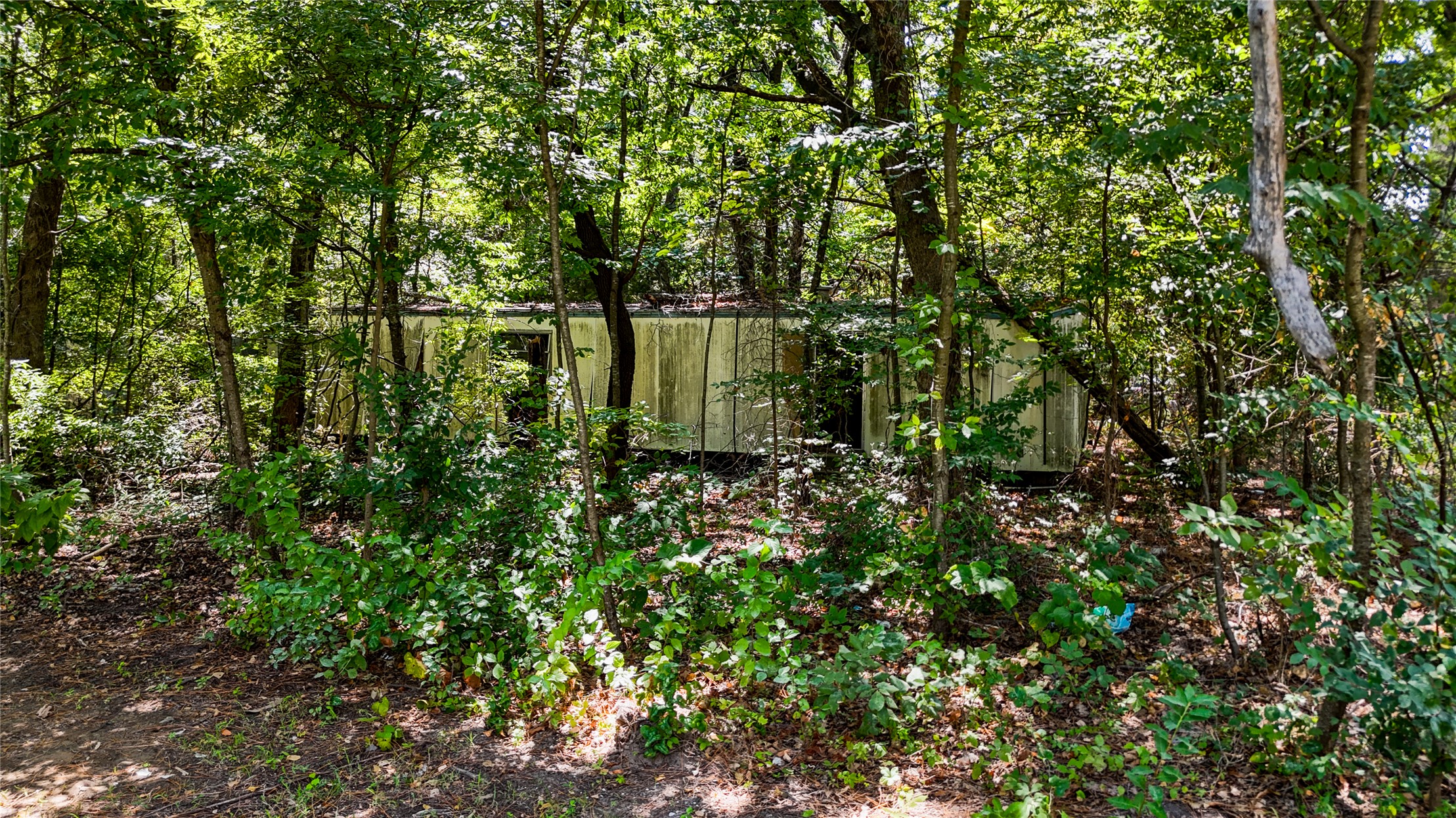 0 Cedar Drive Property Photo 2