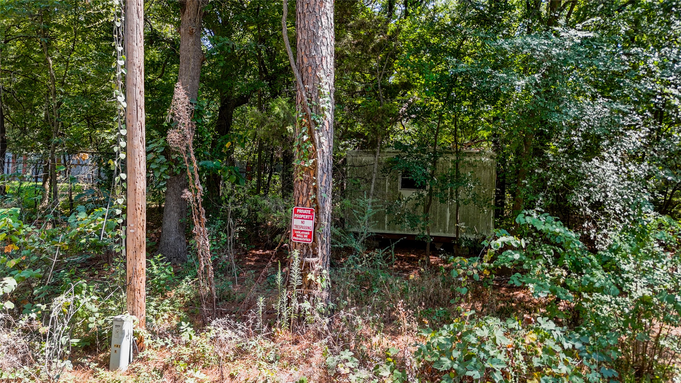 0 Cedar Drive Property Photo 6