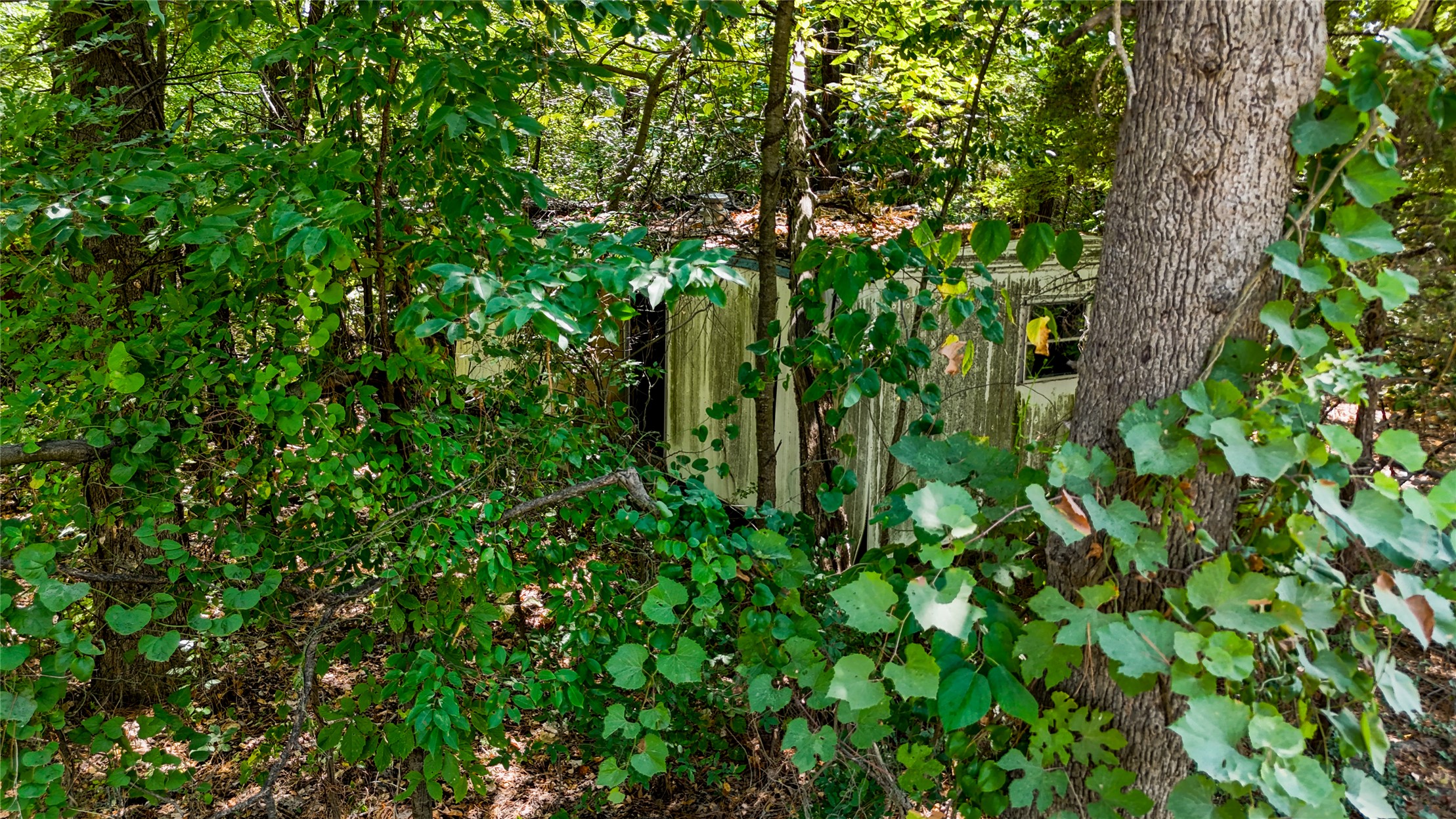 0 Cedar Drive Property Photo 7