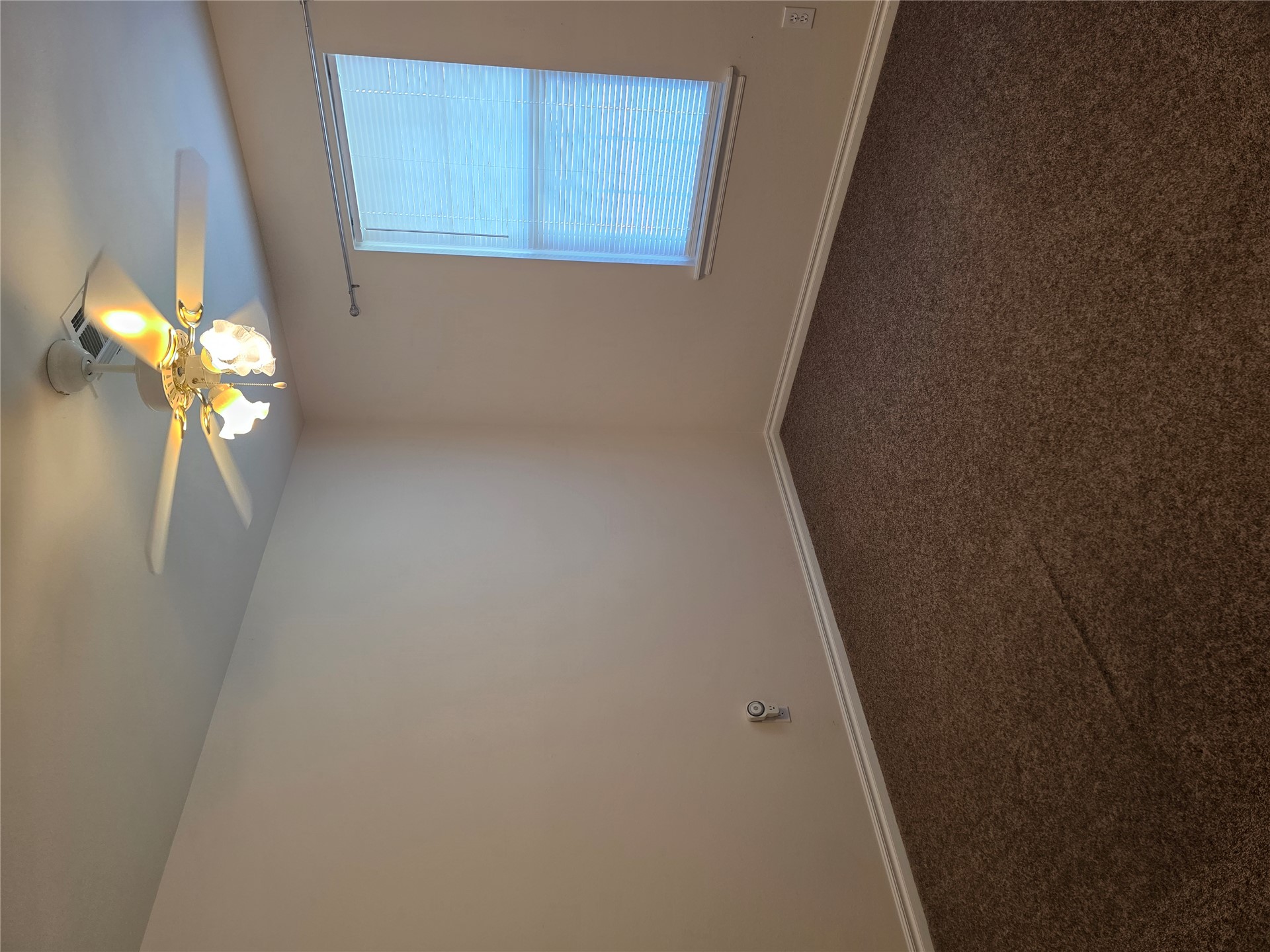3917 Rosewood Place Property Photo 7