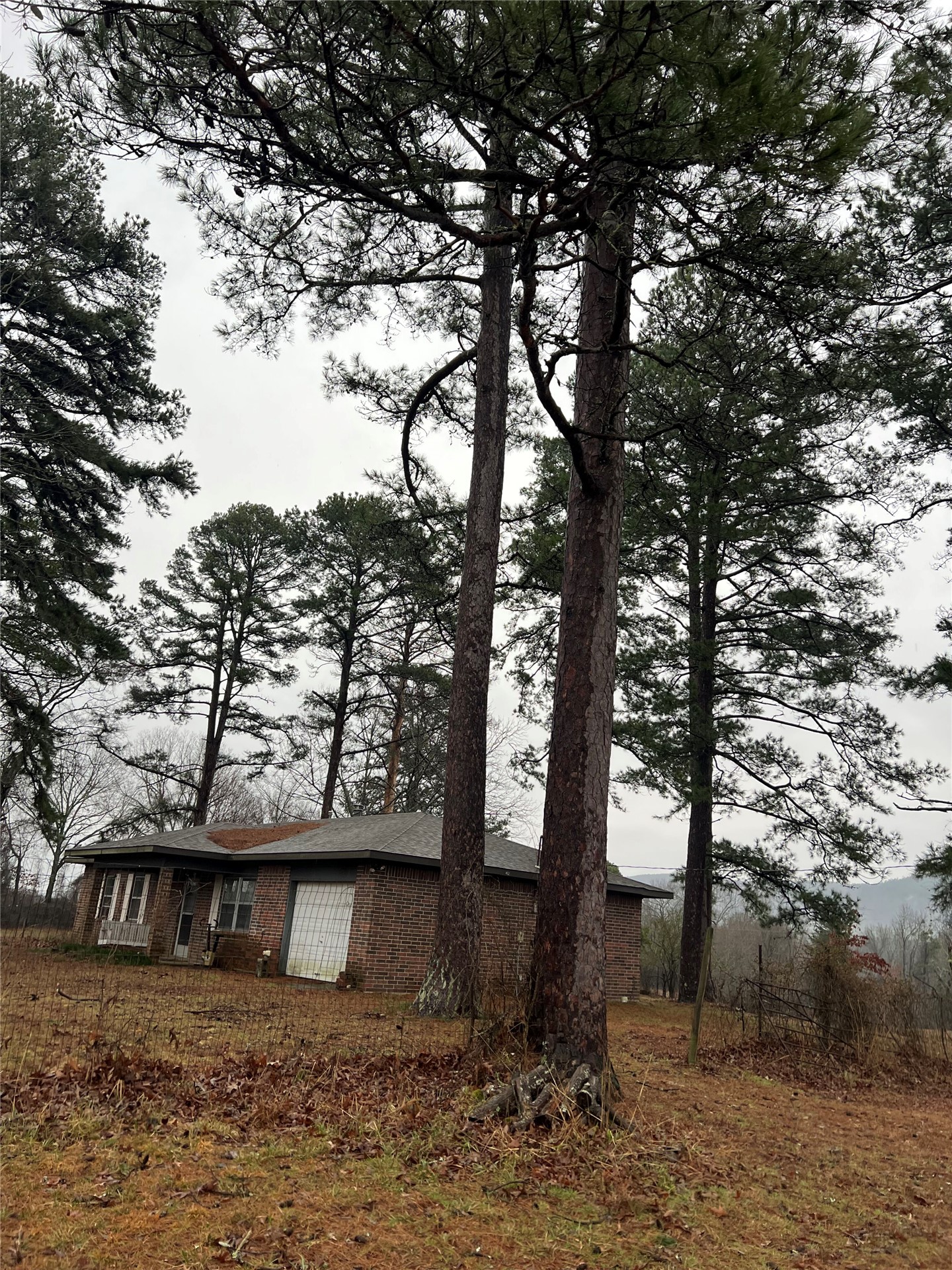 67526 Williams Lane Property Photo 1