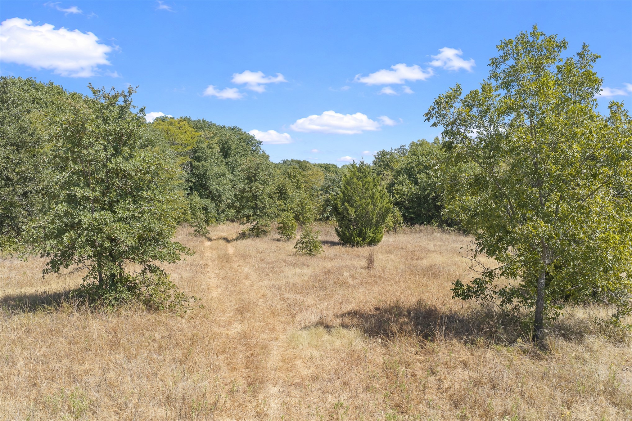 4490 Dillard Road Property Photo 12