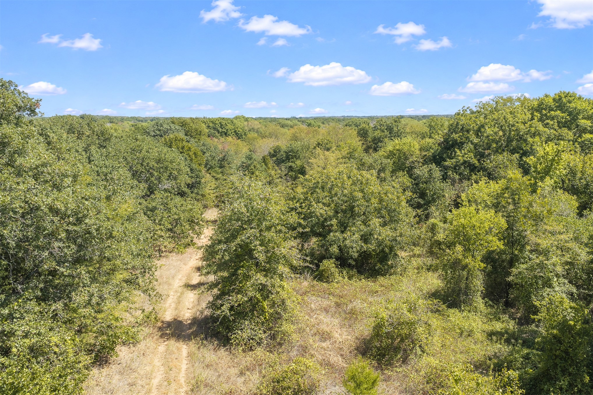 4490 Dillard Road Property Photo 13