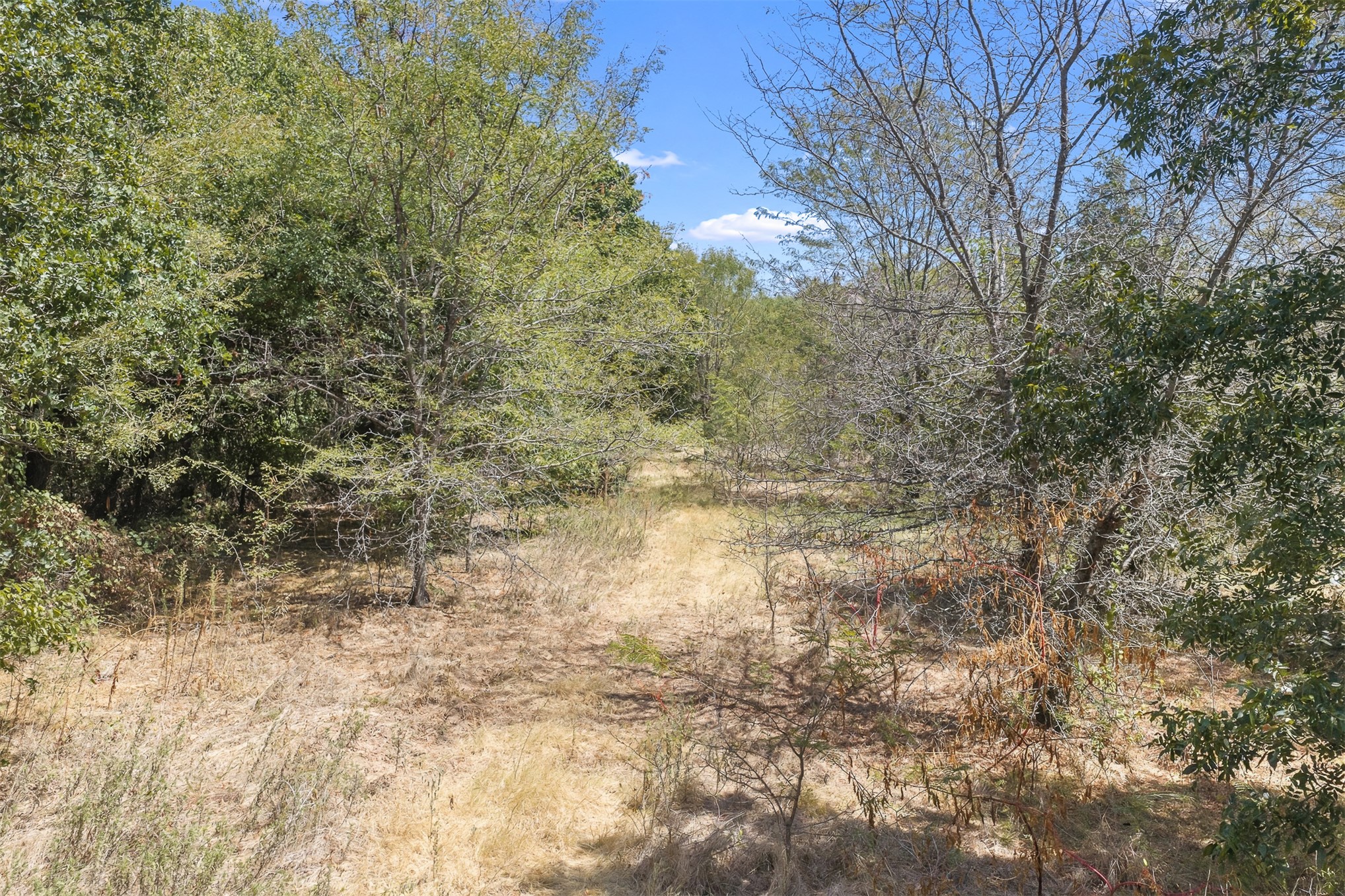 4490 Dillard Road Property Photo 14