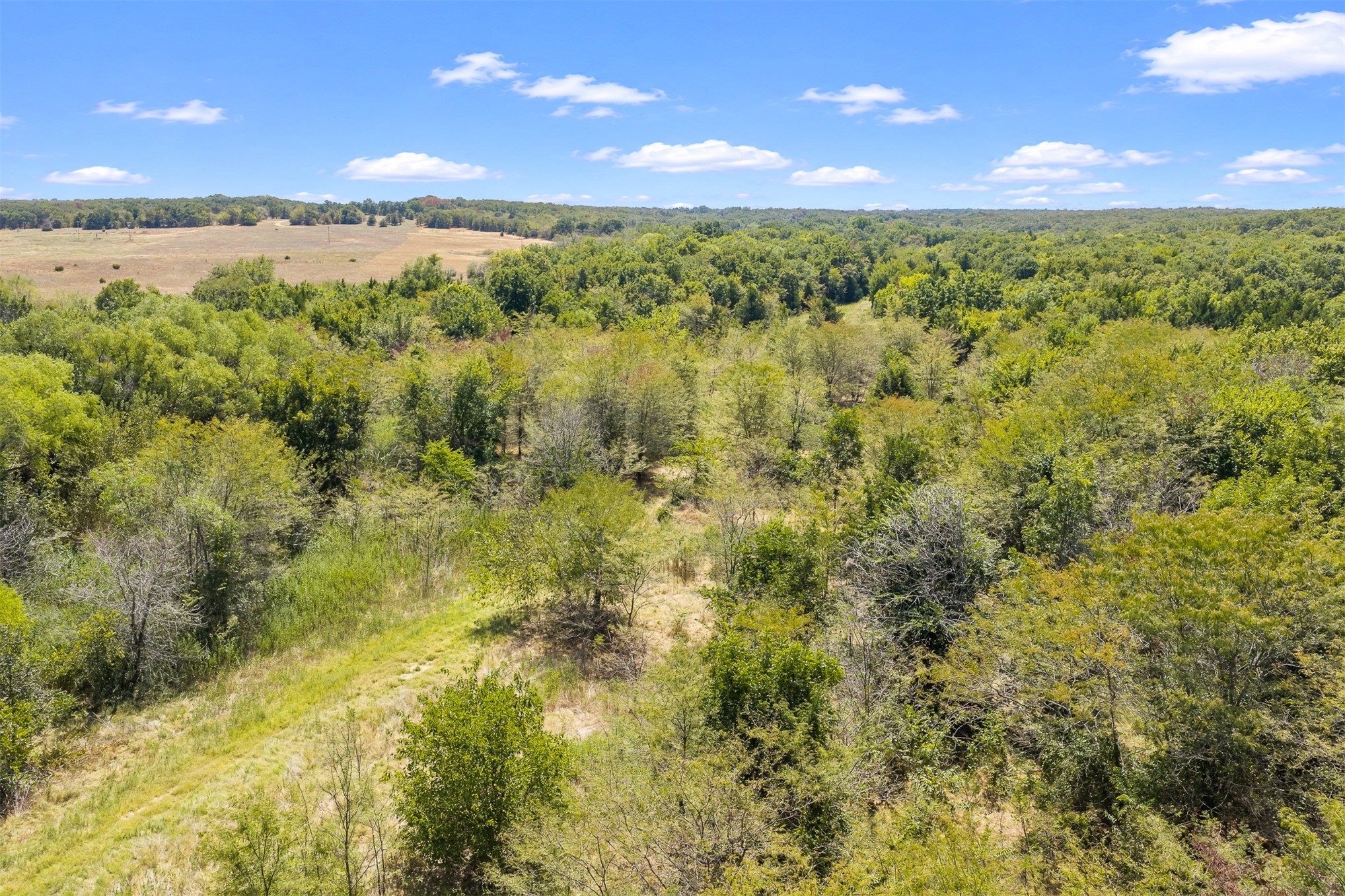 4490 Dillard Road Property Photo 15