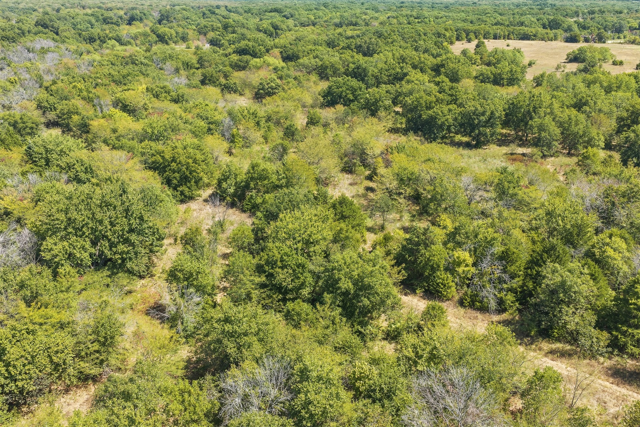 4490 Dillard Road Property Photo 16