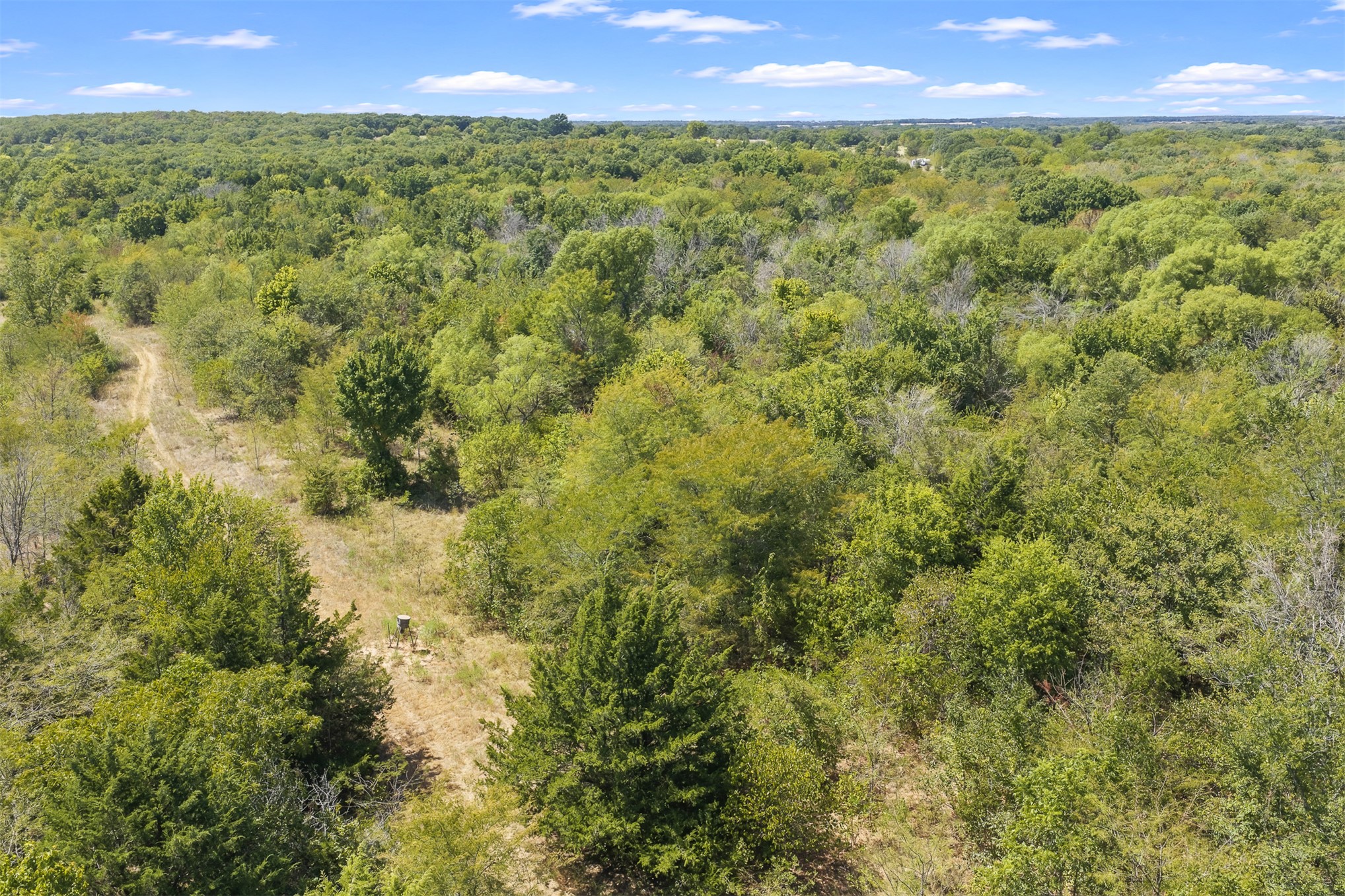 4490 Dillard Road Property Photo 17