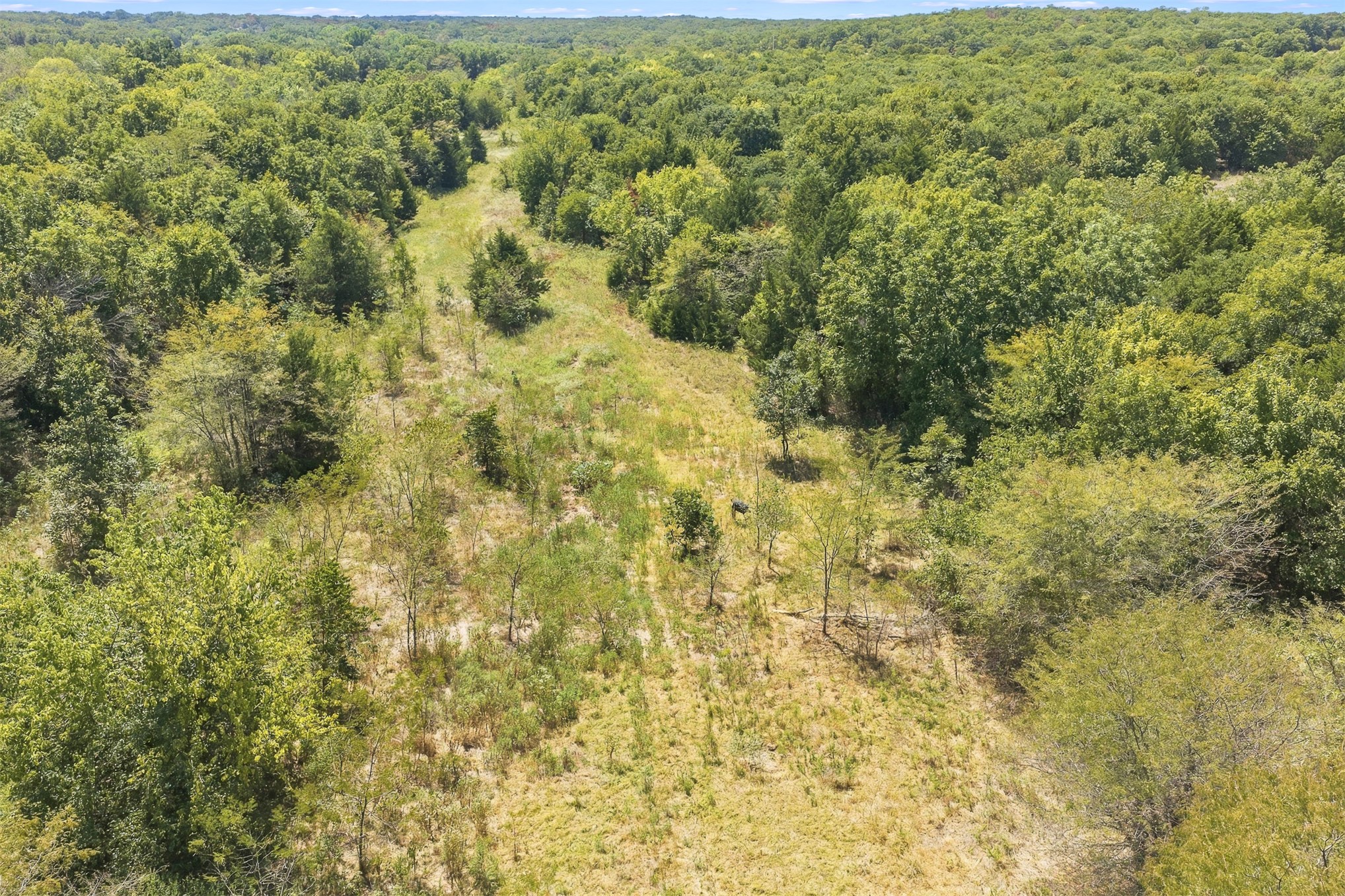 4490 Dillard Road Property Photo 19