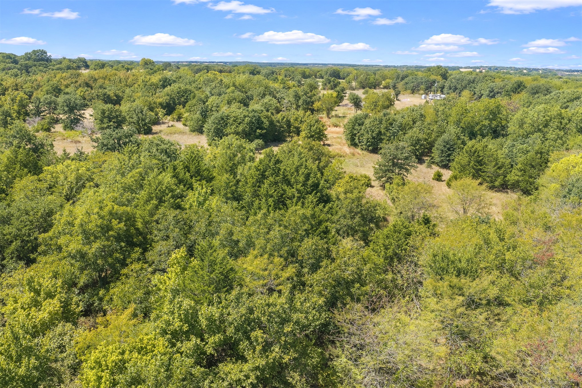 4490 Dillard Road Property Photo 20