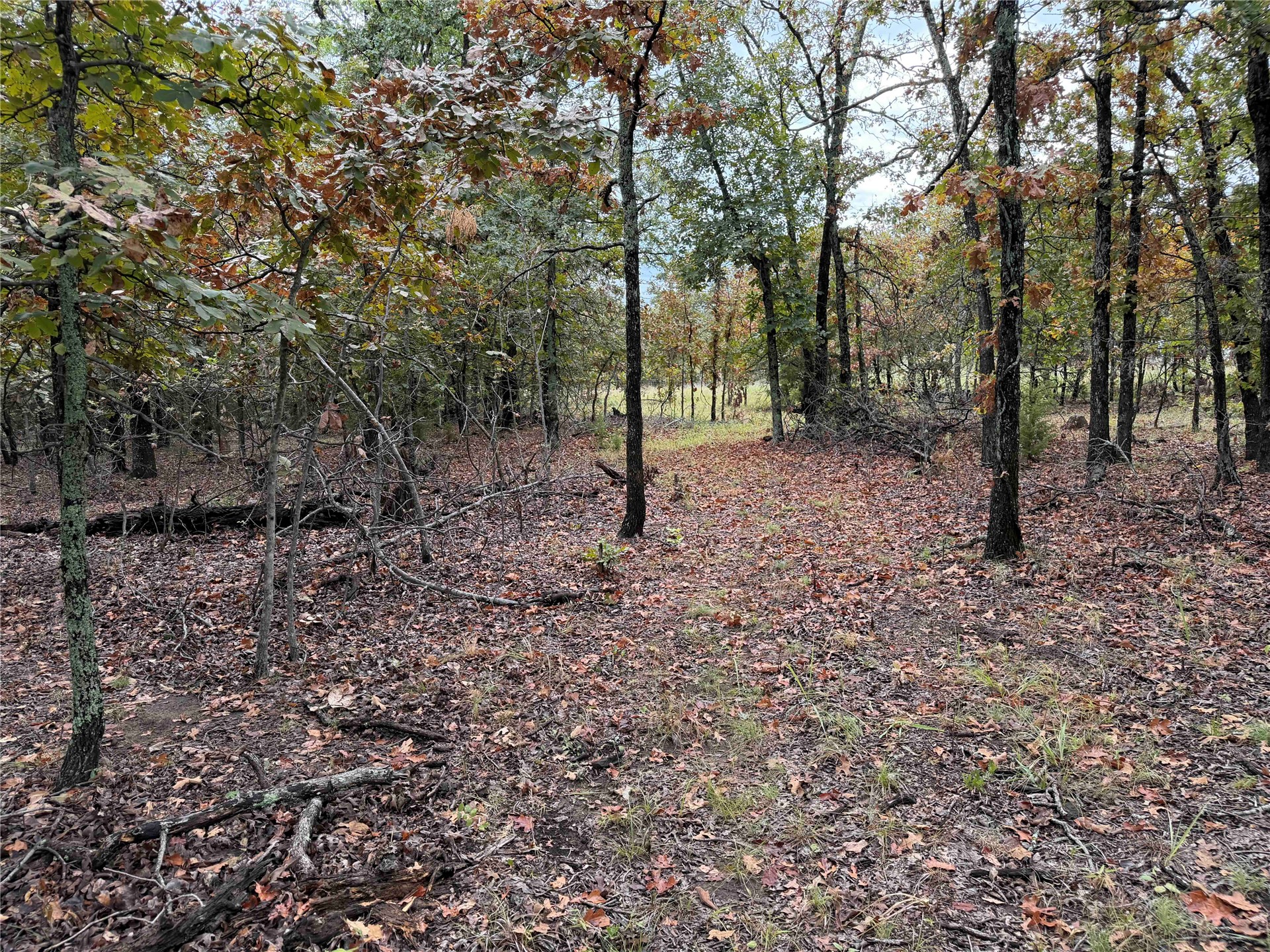 0000 Glenda Lane Property Photo 10