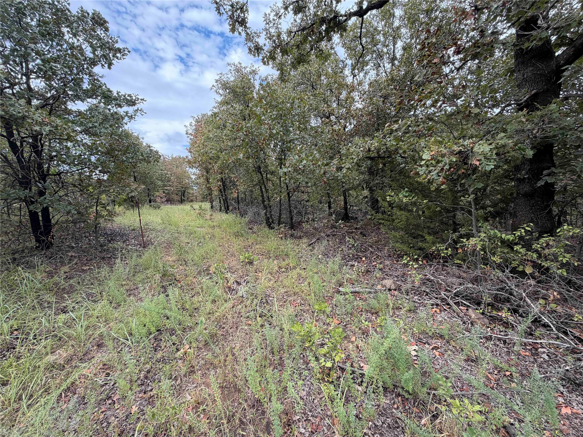 0000 Glenda Lane Property Photo 12