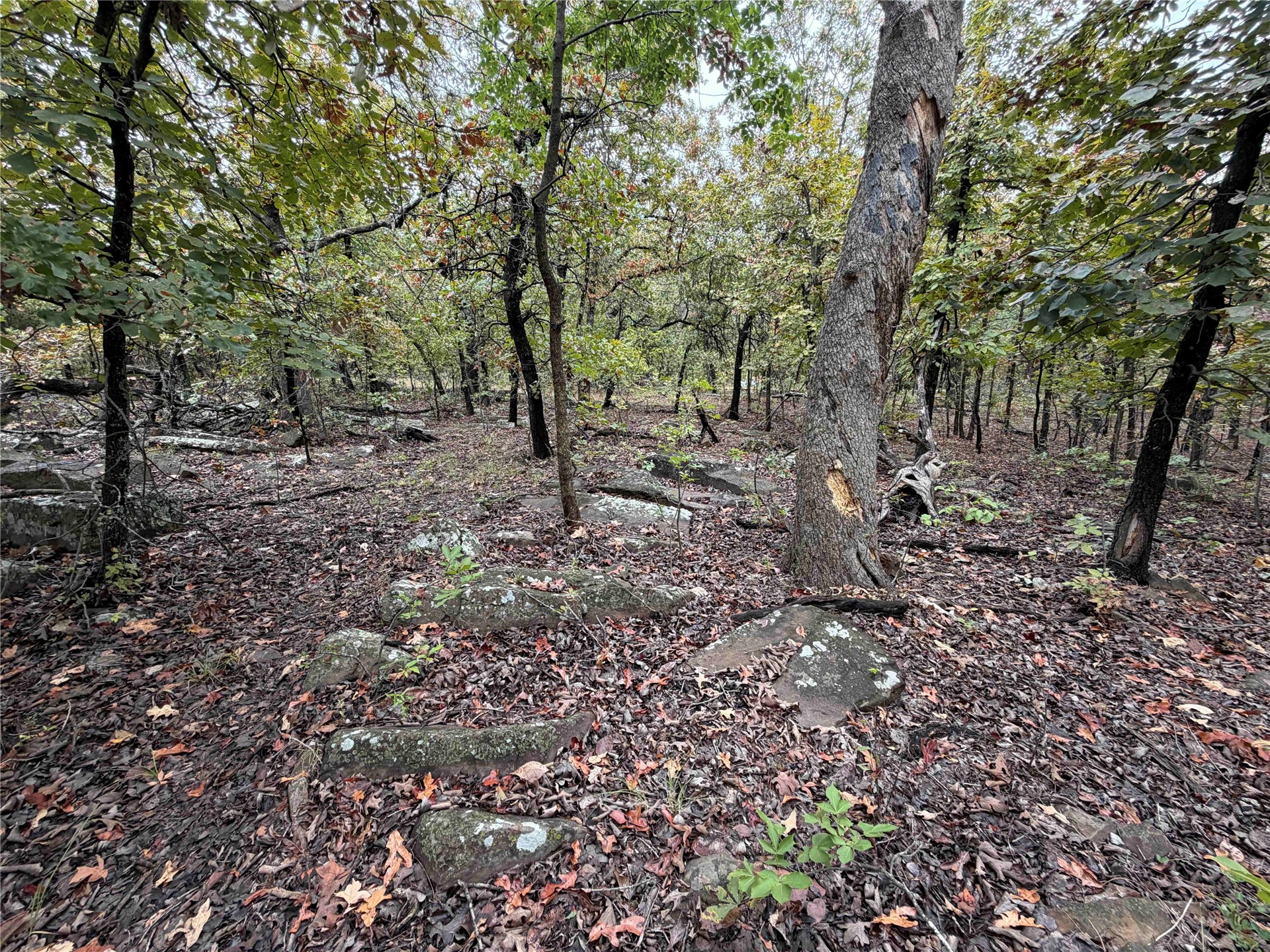 0000 Glenda Lane Property Photo 14