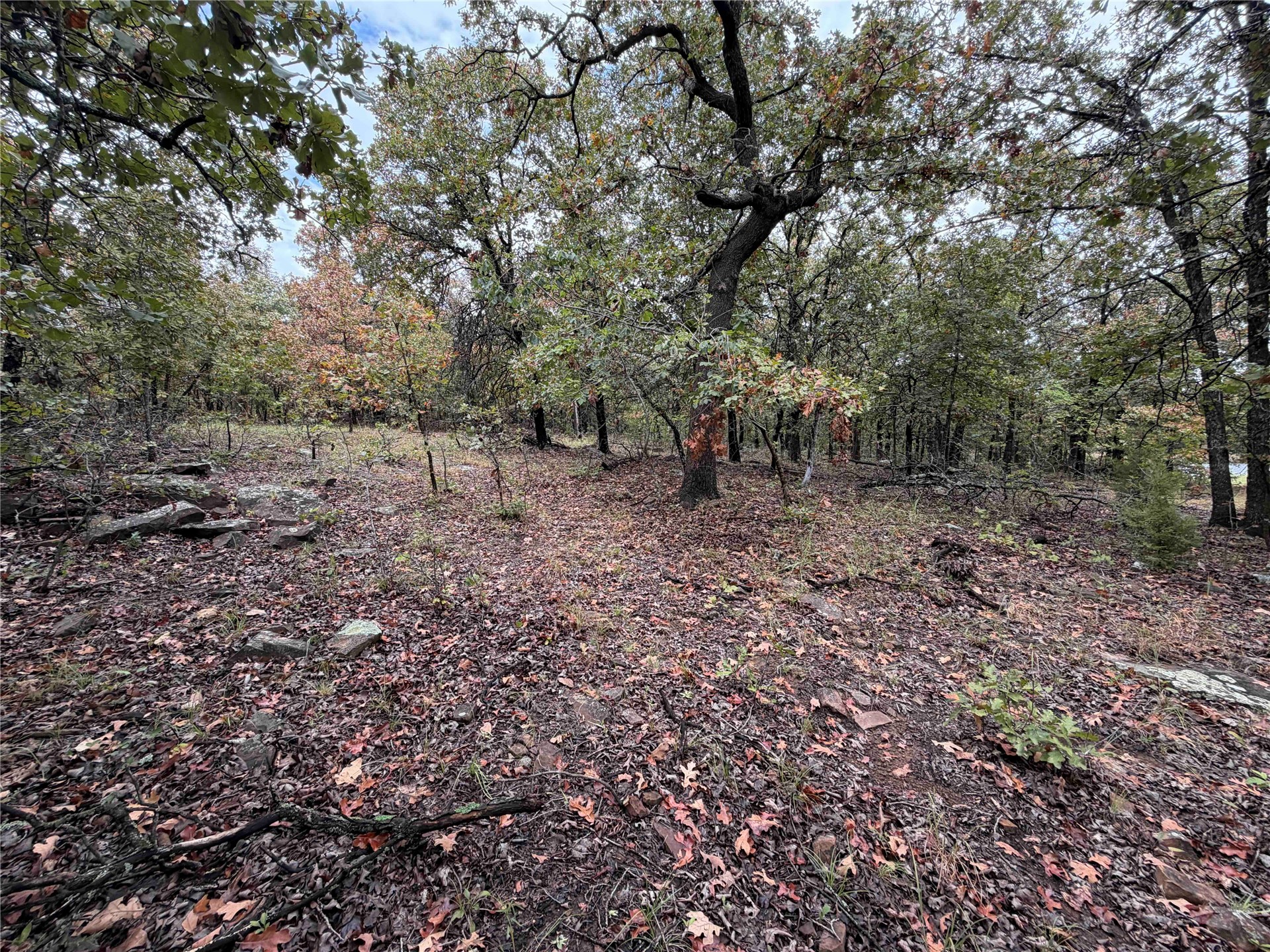 0000 Glenda Lane Property Photo 16