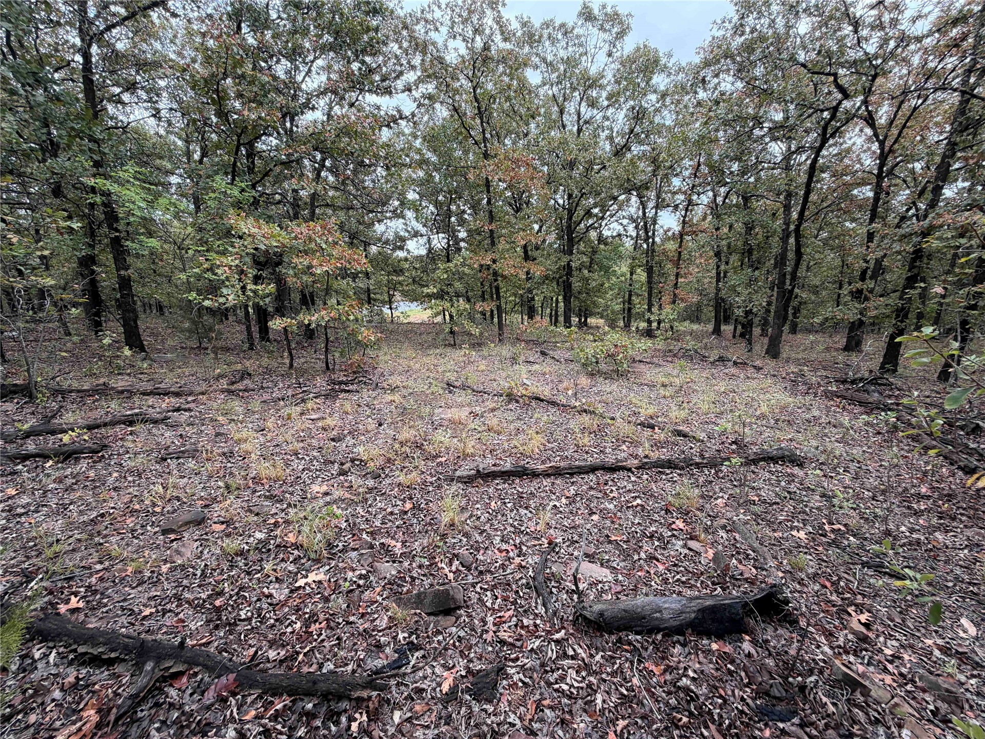 0000 Glenda Lane Property Photo 17
