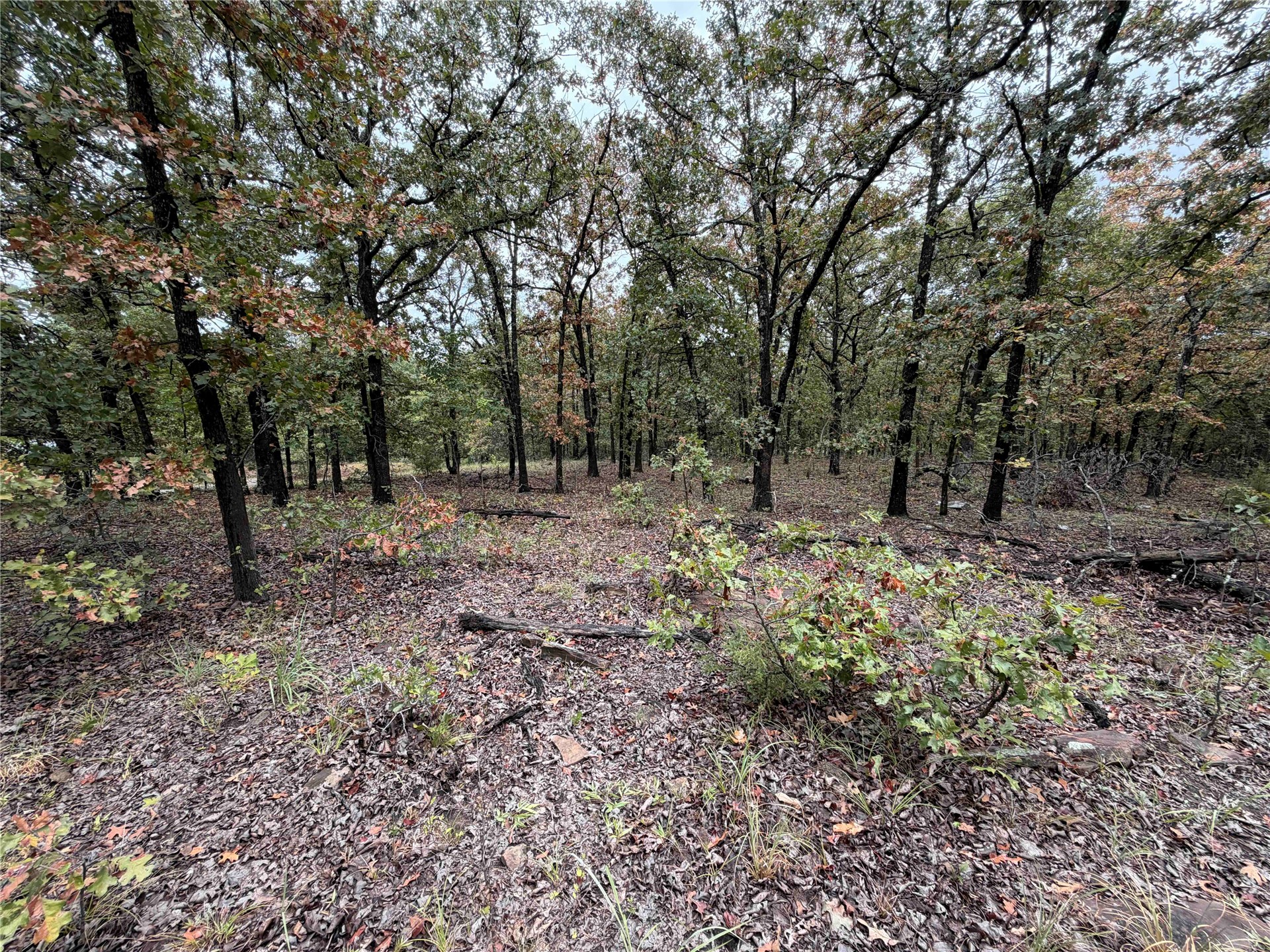 0000 Glenda Lane Property Photo 18