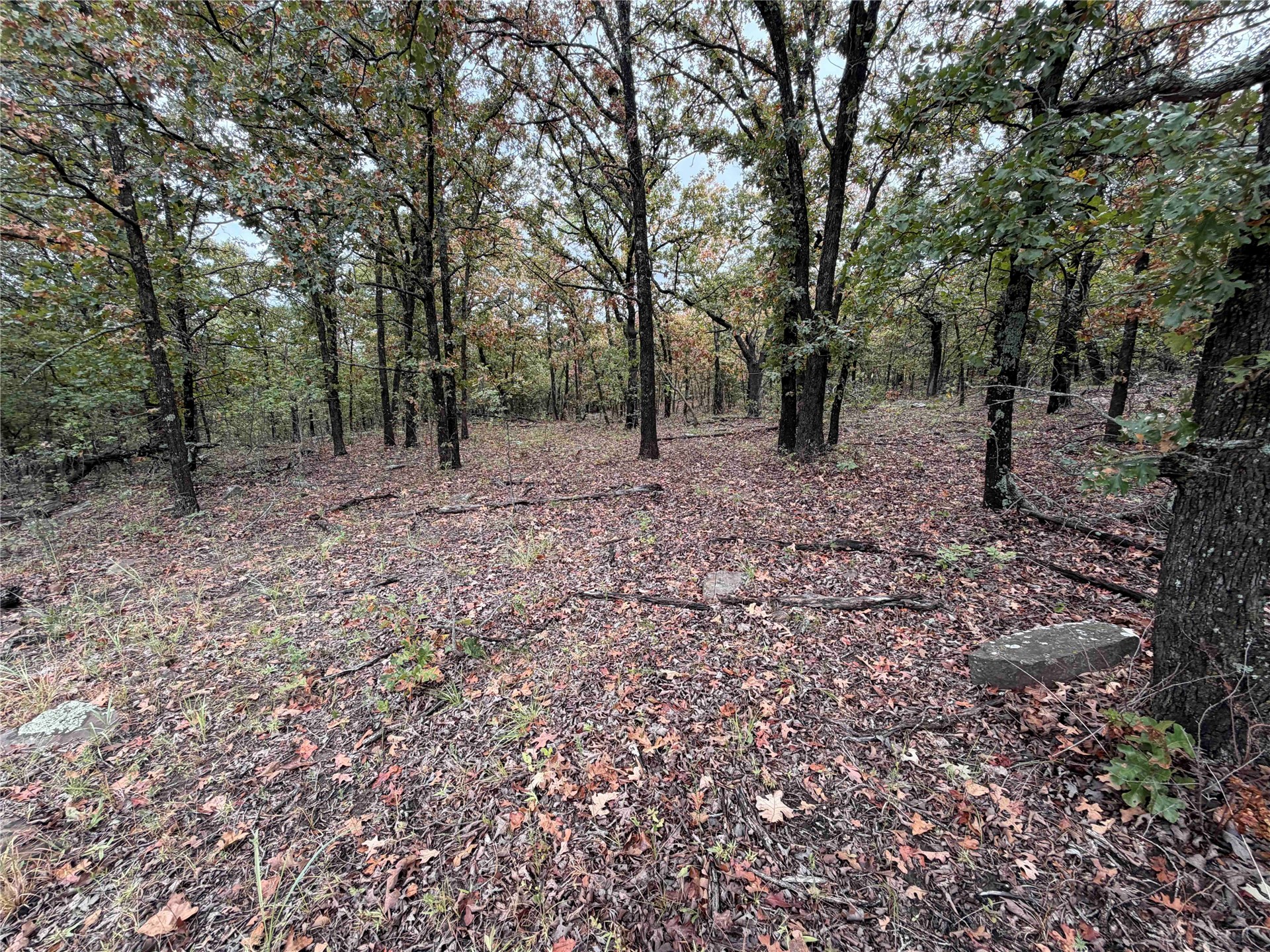 0000 Glenda Lane Property Photo 19