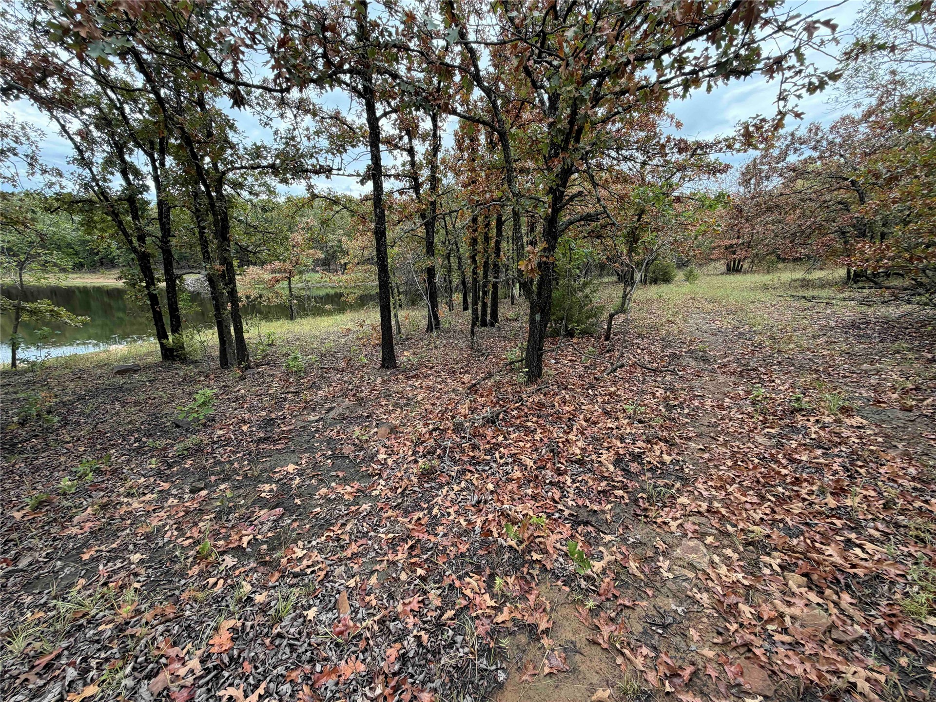 0000 Glenda Lane Property Photo 37