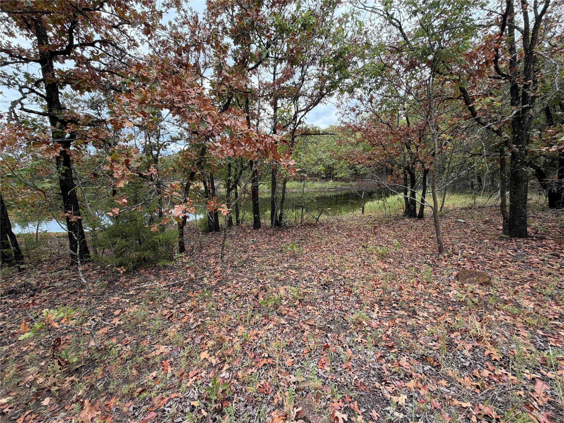 0000 Glenda Lane Property Photo 38