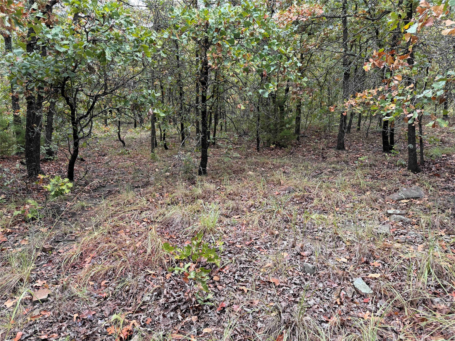 0000 Glenda Lane Property Photo 45