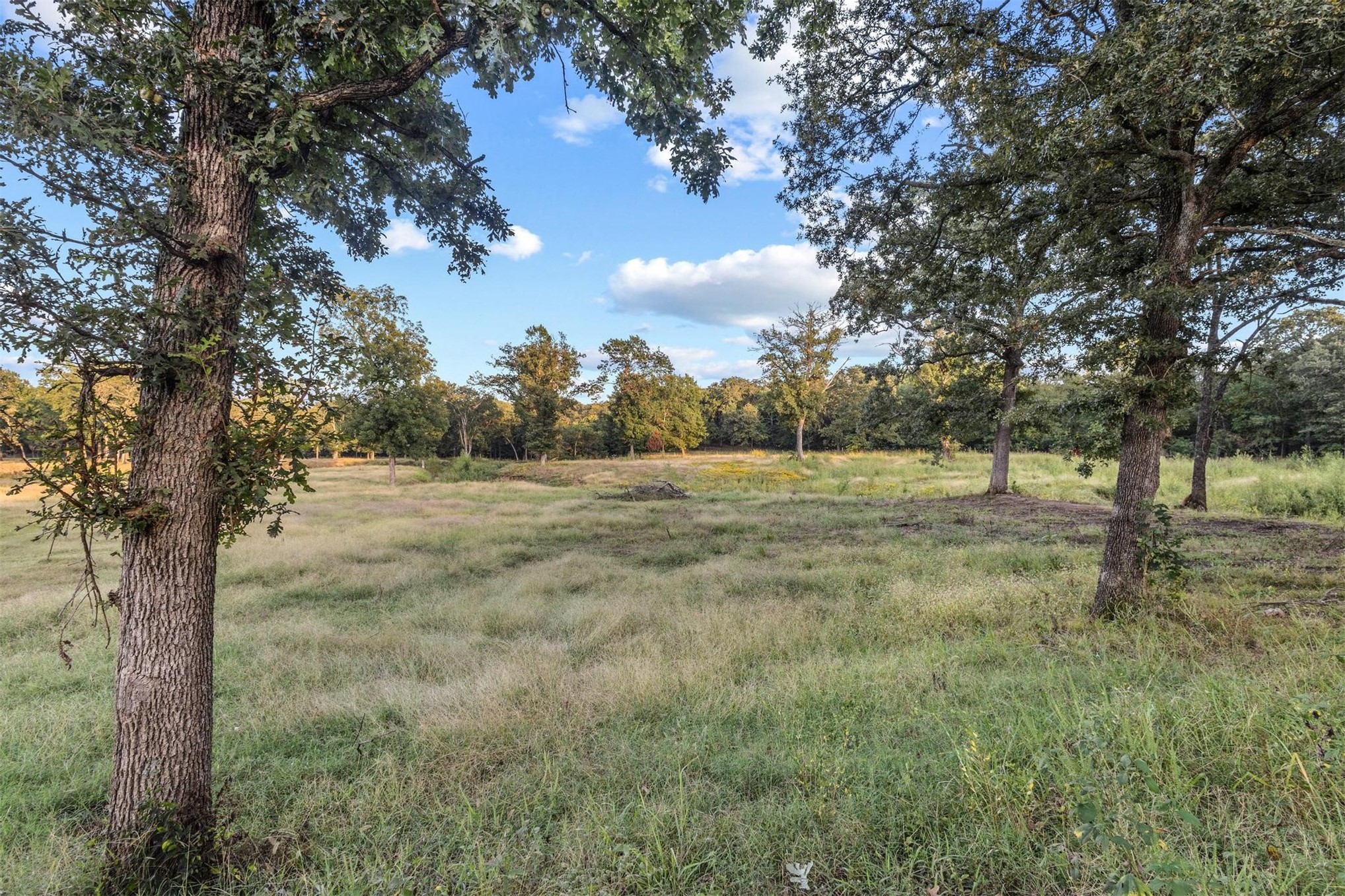 17428 Cumberland Road Property Photo 34