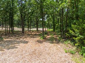 20910 Black Jack Trail Property Photo 1