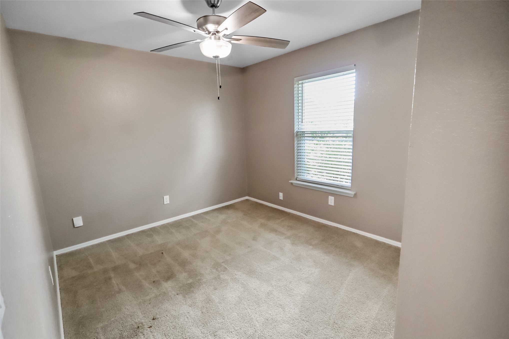 325 Maple Branch Way Property Photo 10