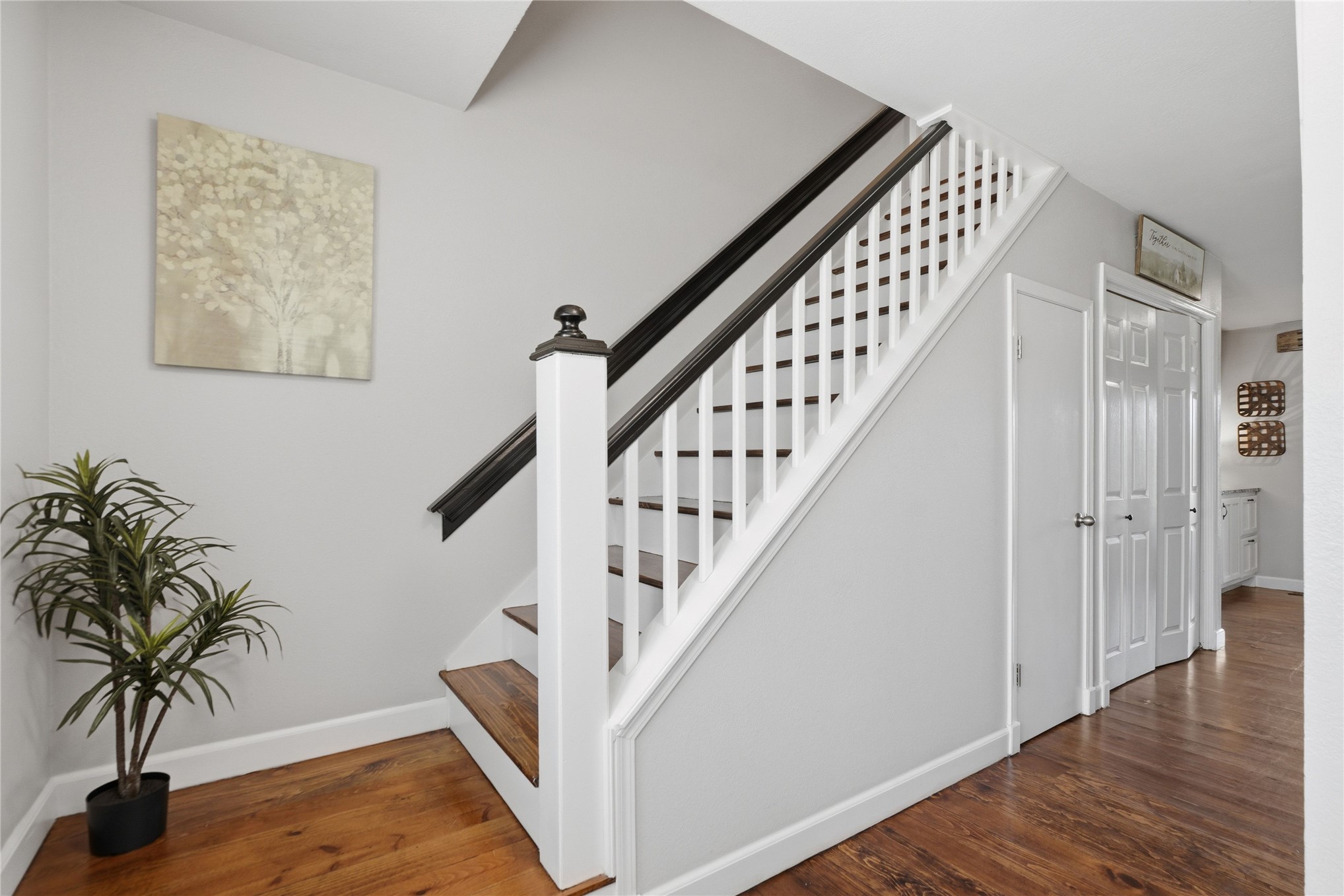 4231 Hillside Drive Property Photo 40
