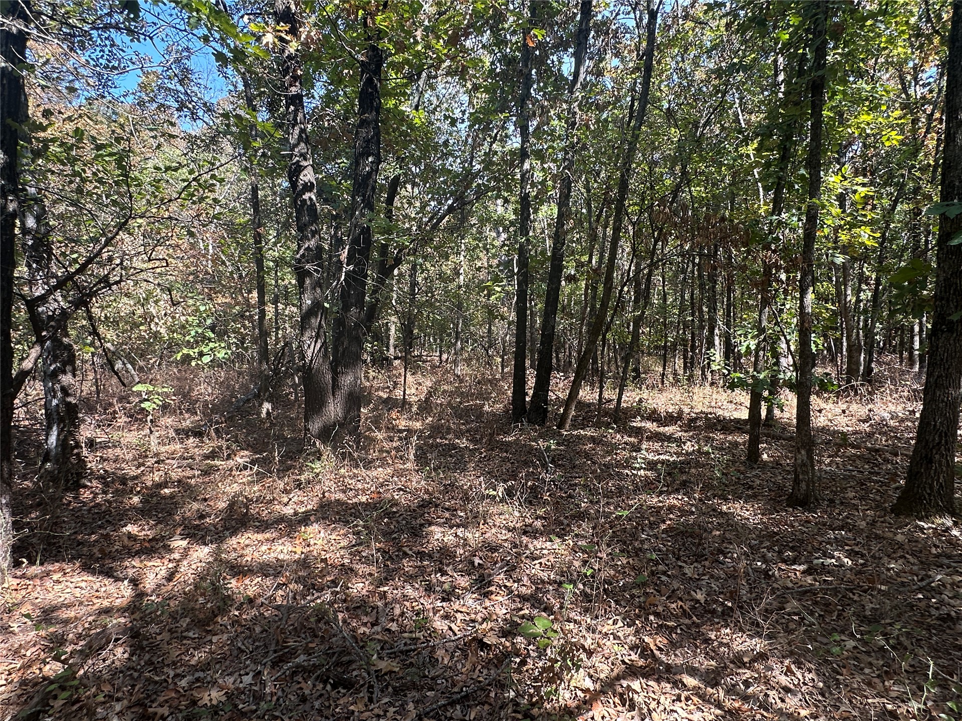 4300 Road Property Photo 1