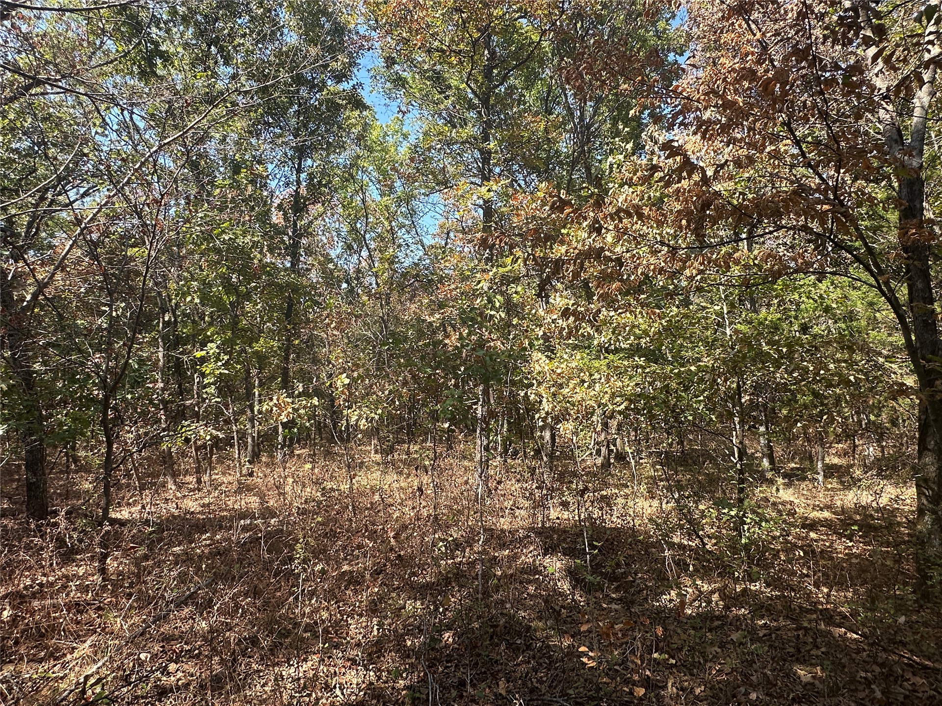 4300 Road Property Photo 3