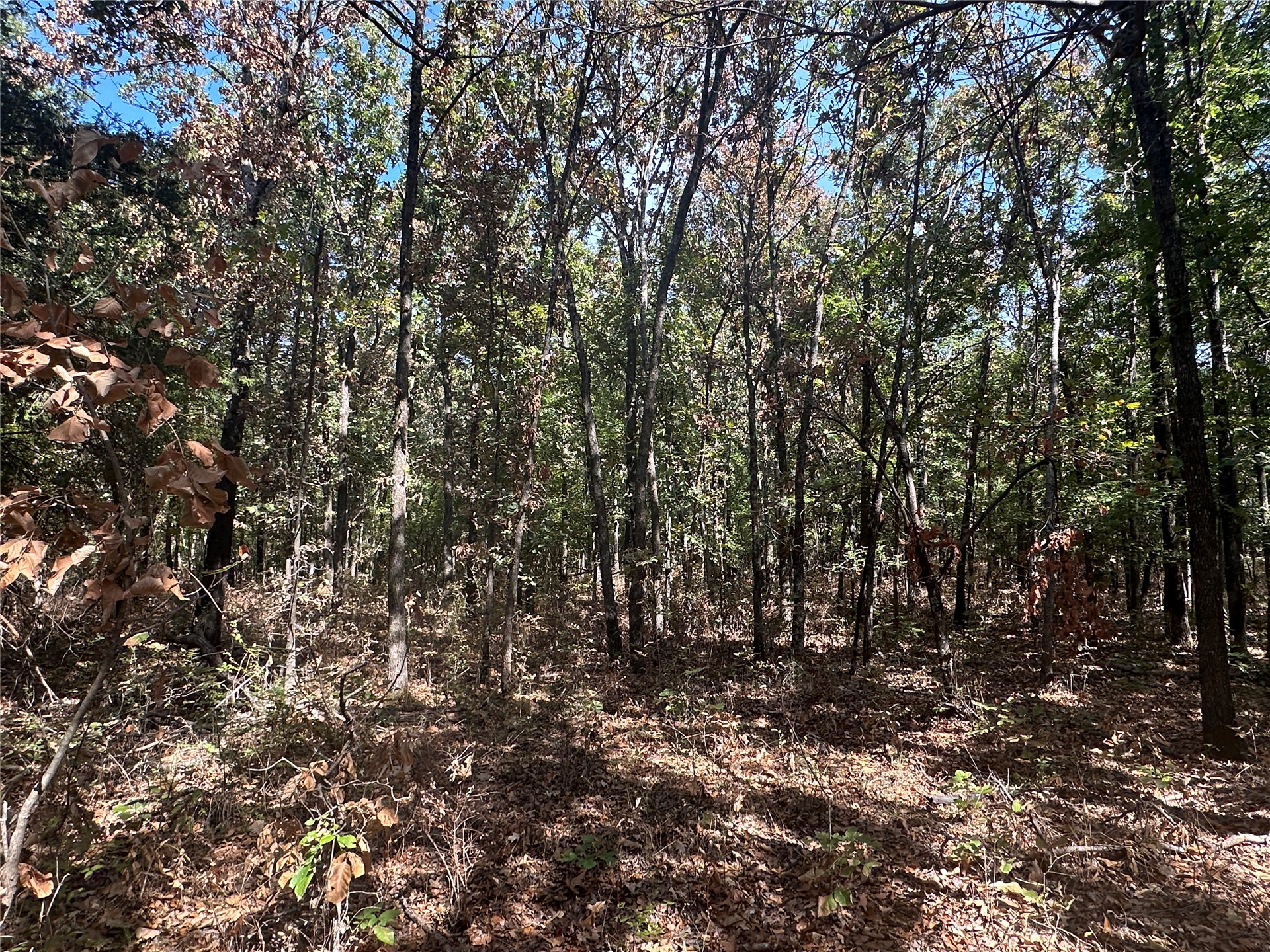 4300 Road Property Photo 4