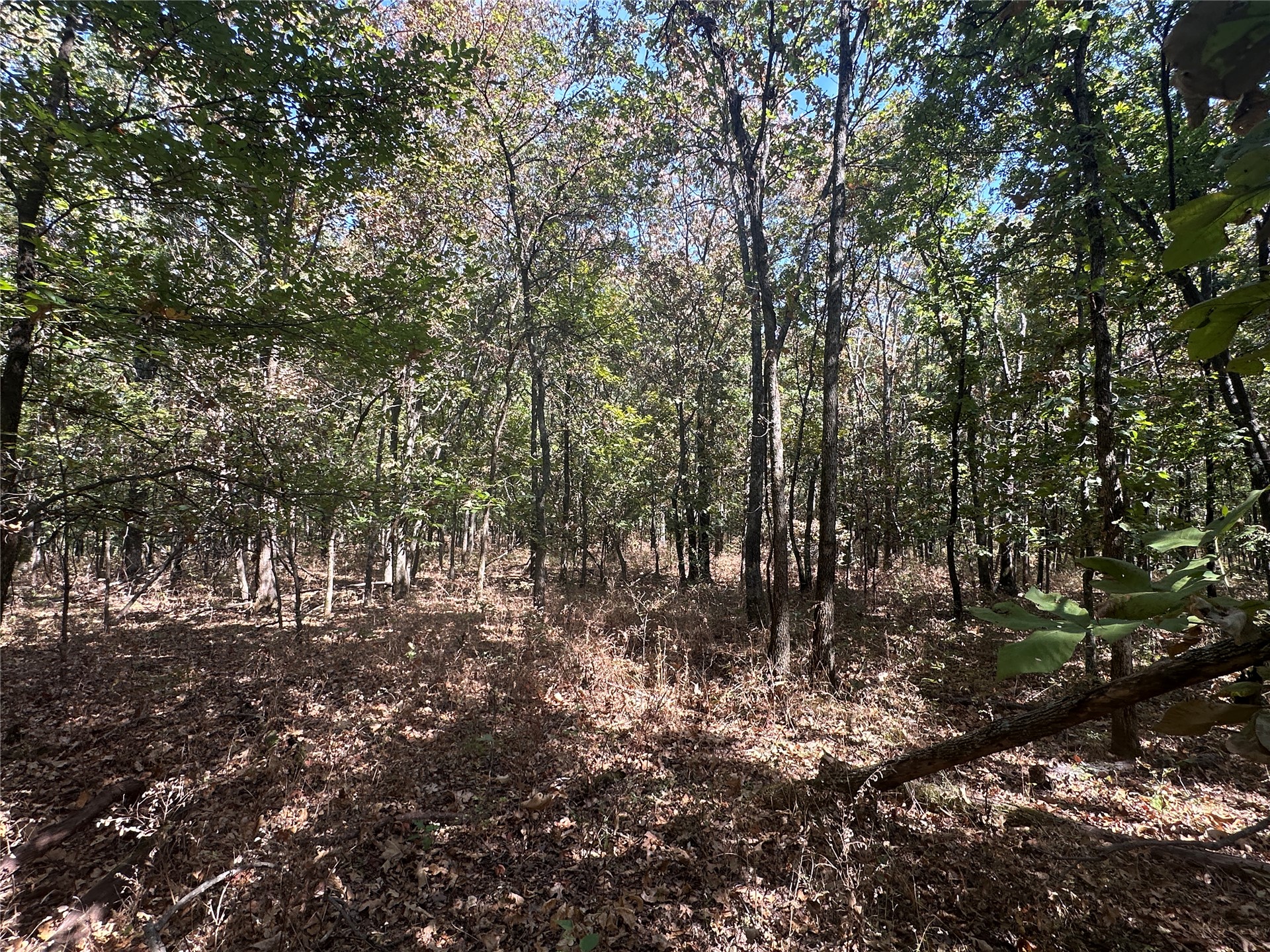 4300 Road Property Photo 1