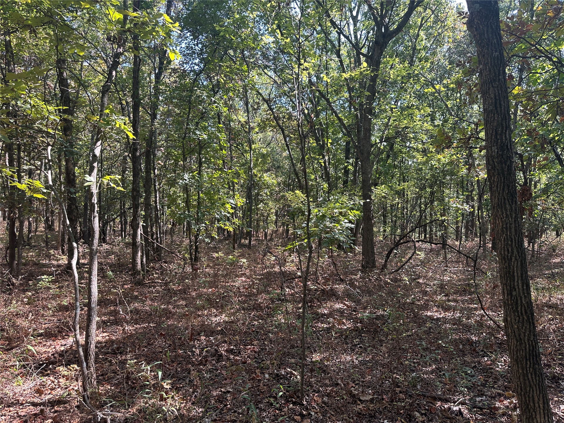 4300 Road Property Photo 2